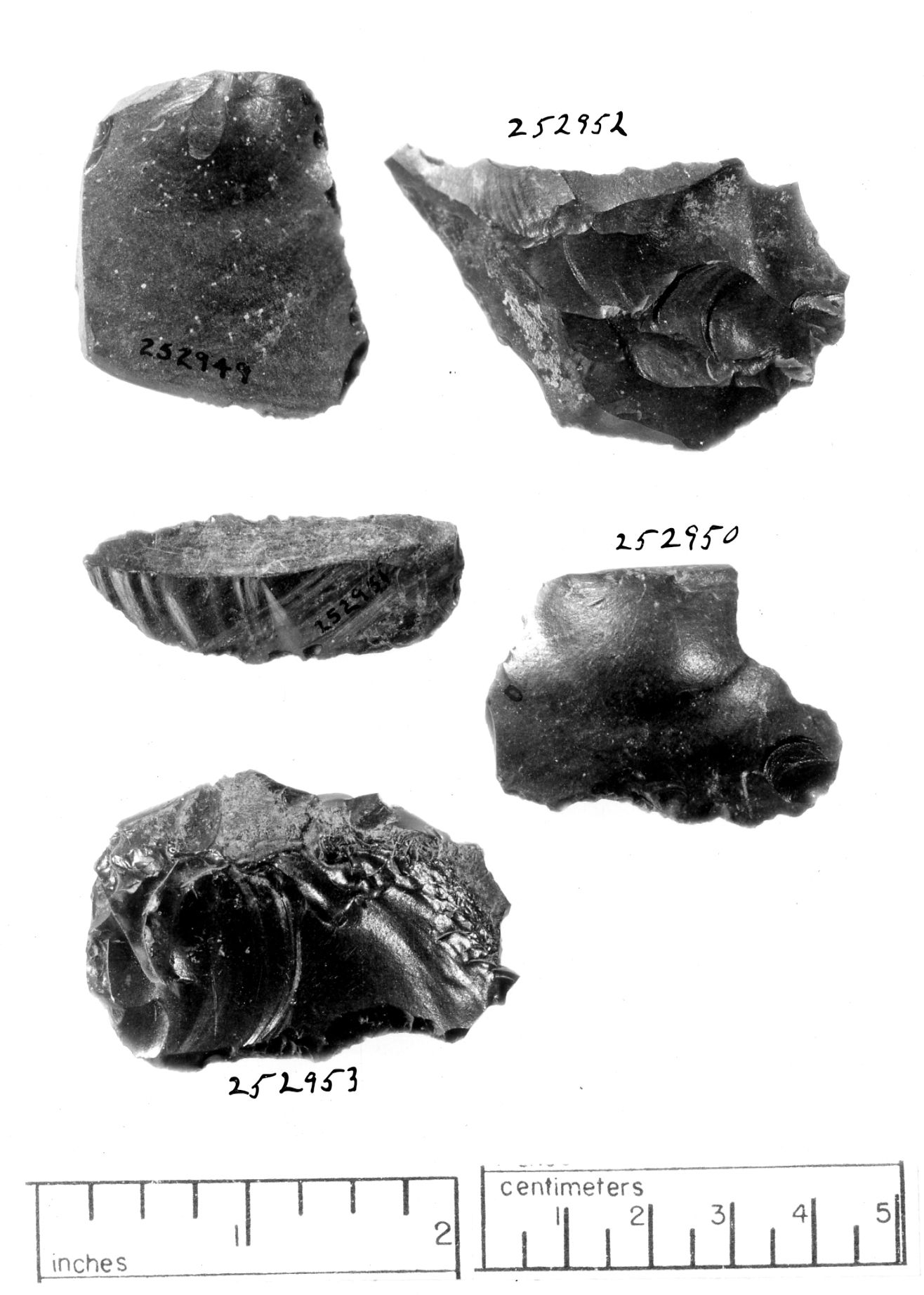 Neolithic obsidian flake tools  