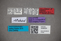 3048324 Stenus steineri HT labels IN