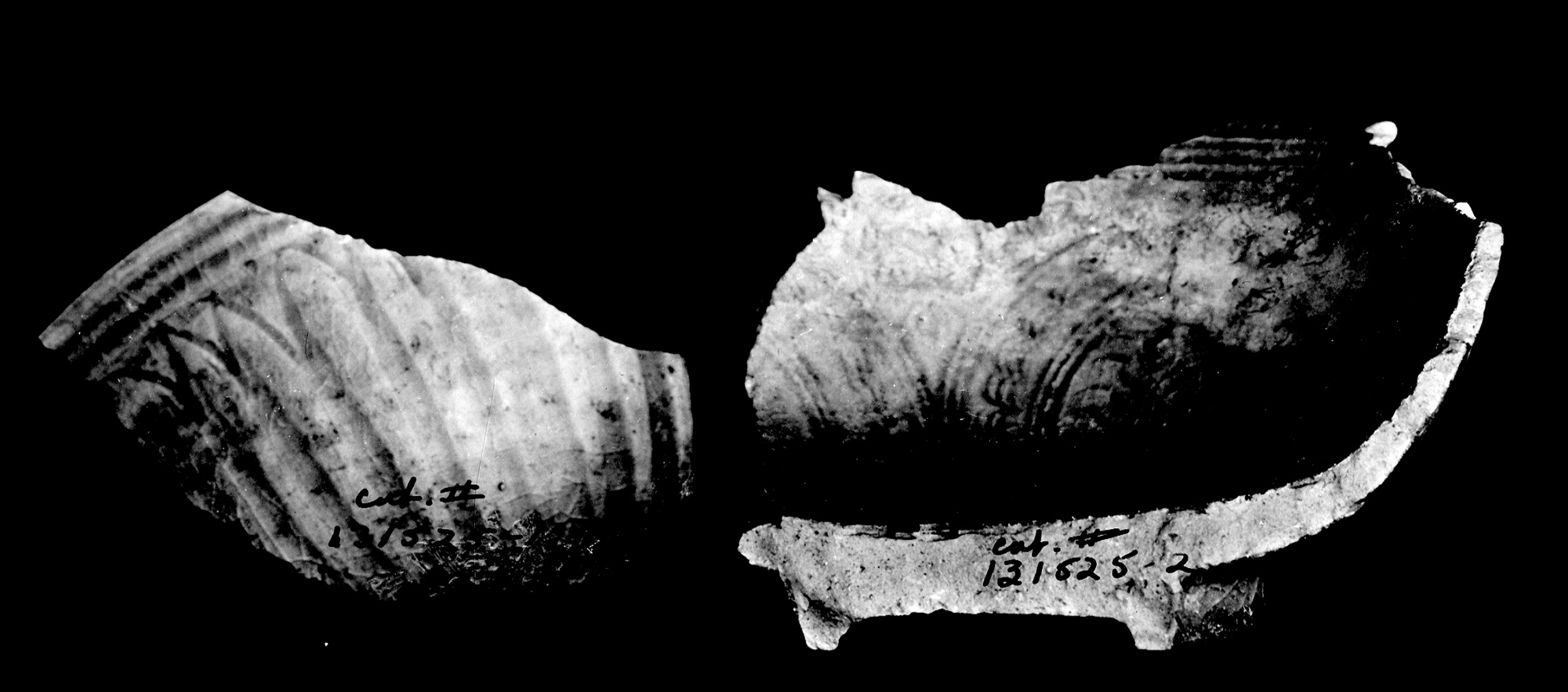 Fragments of Chinese jars  