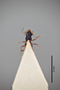 3048388 Stenus voraginosus ST v IN