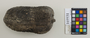 169931 clay (ceramic) vessel