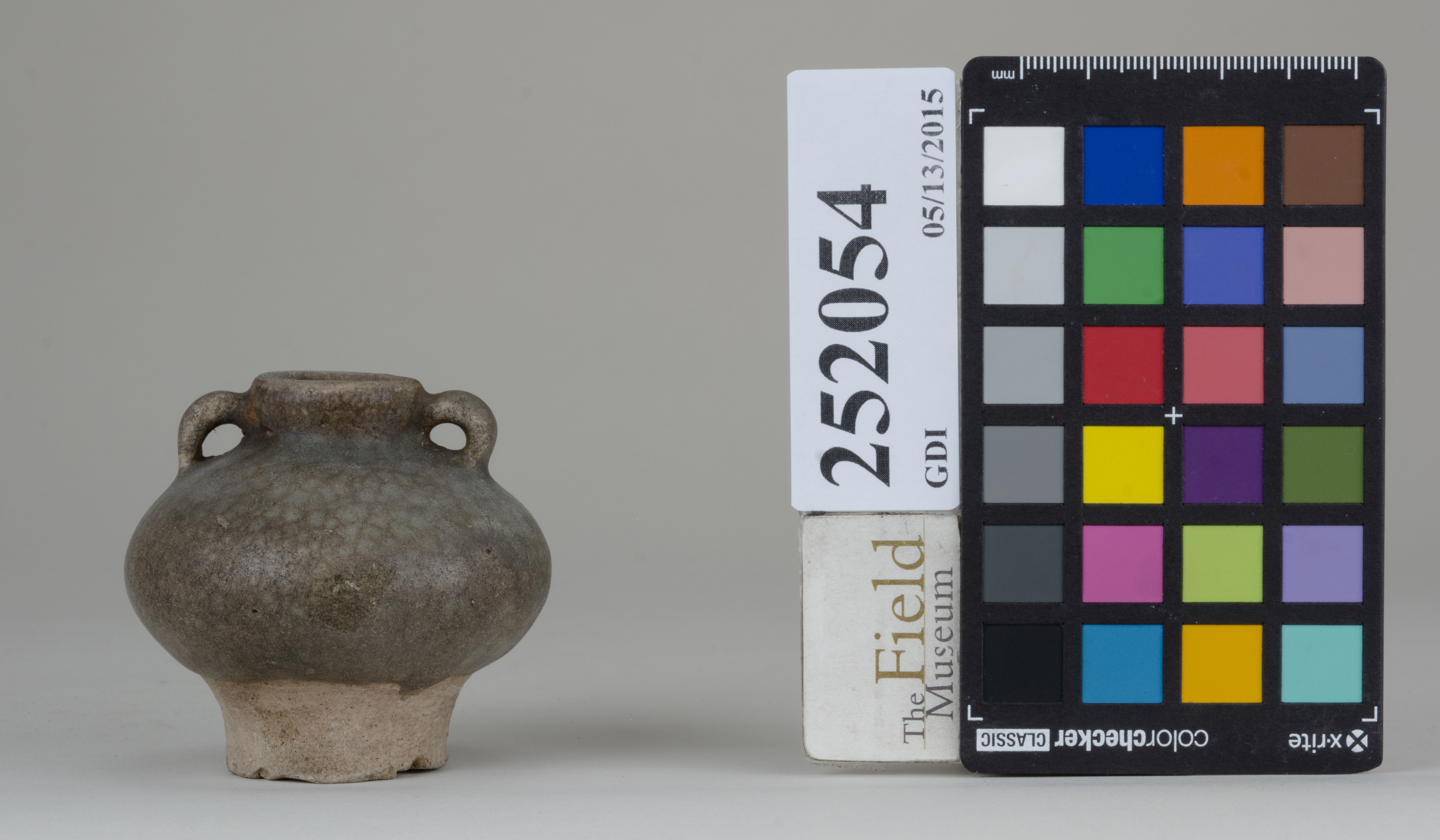 reference image, back 