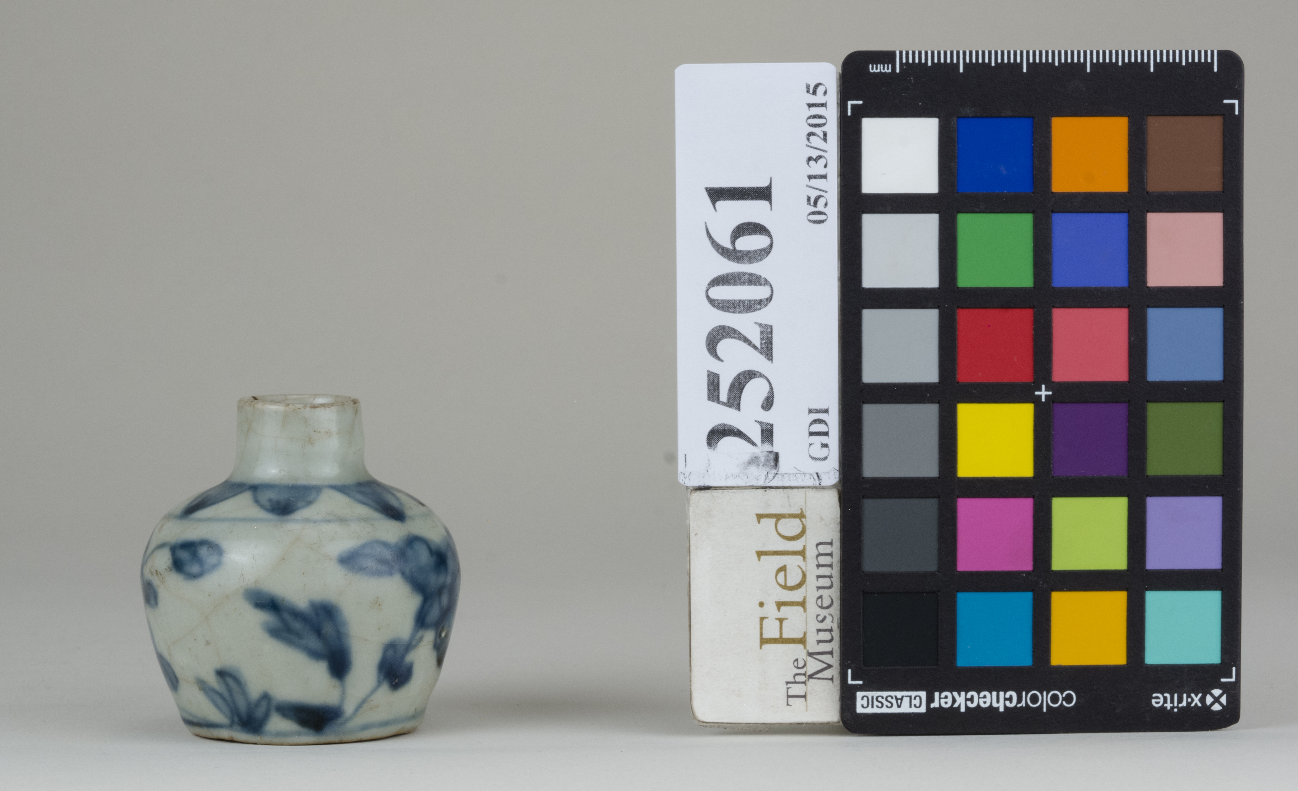 reference image, back 