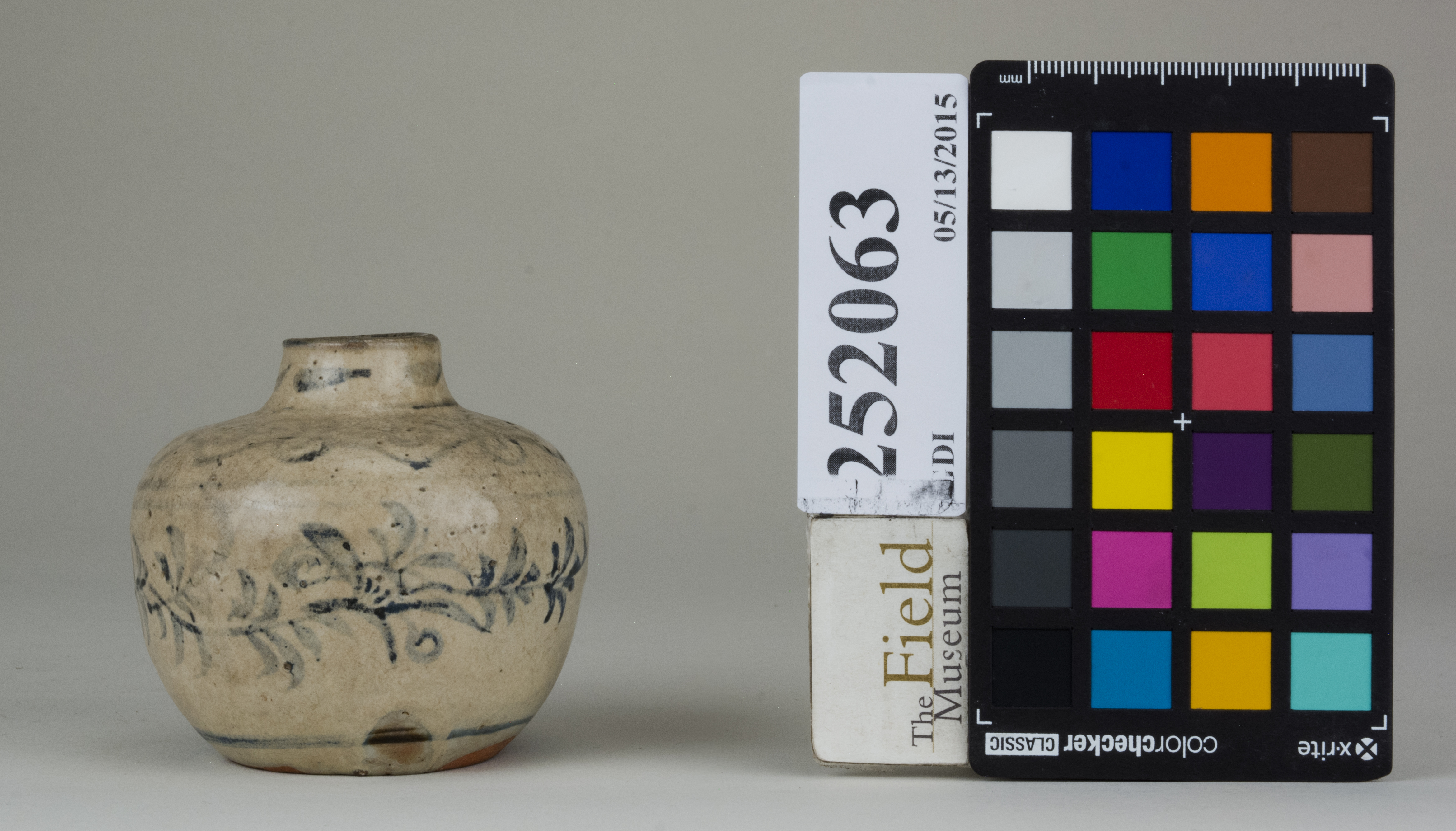 reference image, back 