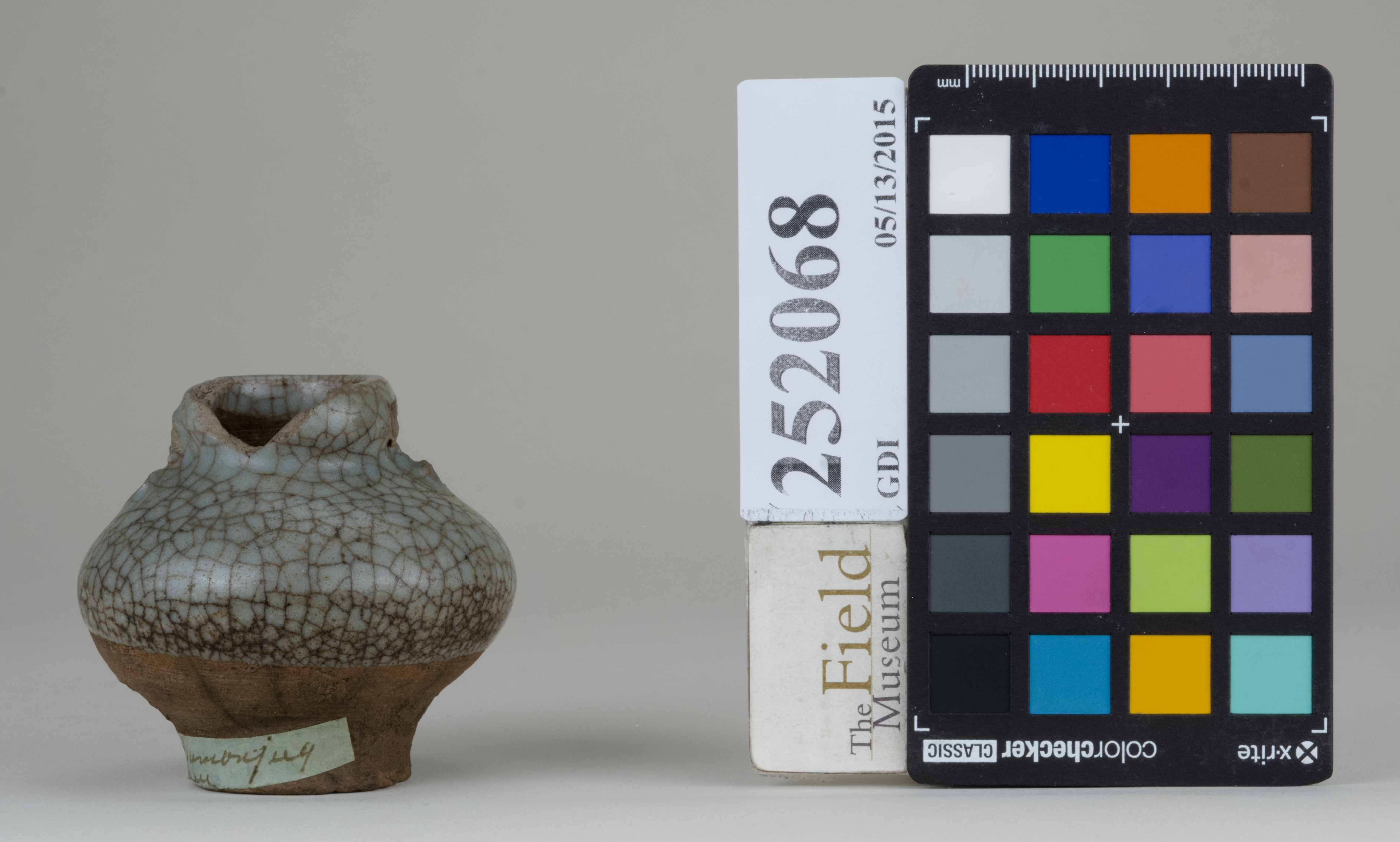 reference image, back 