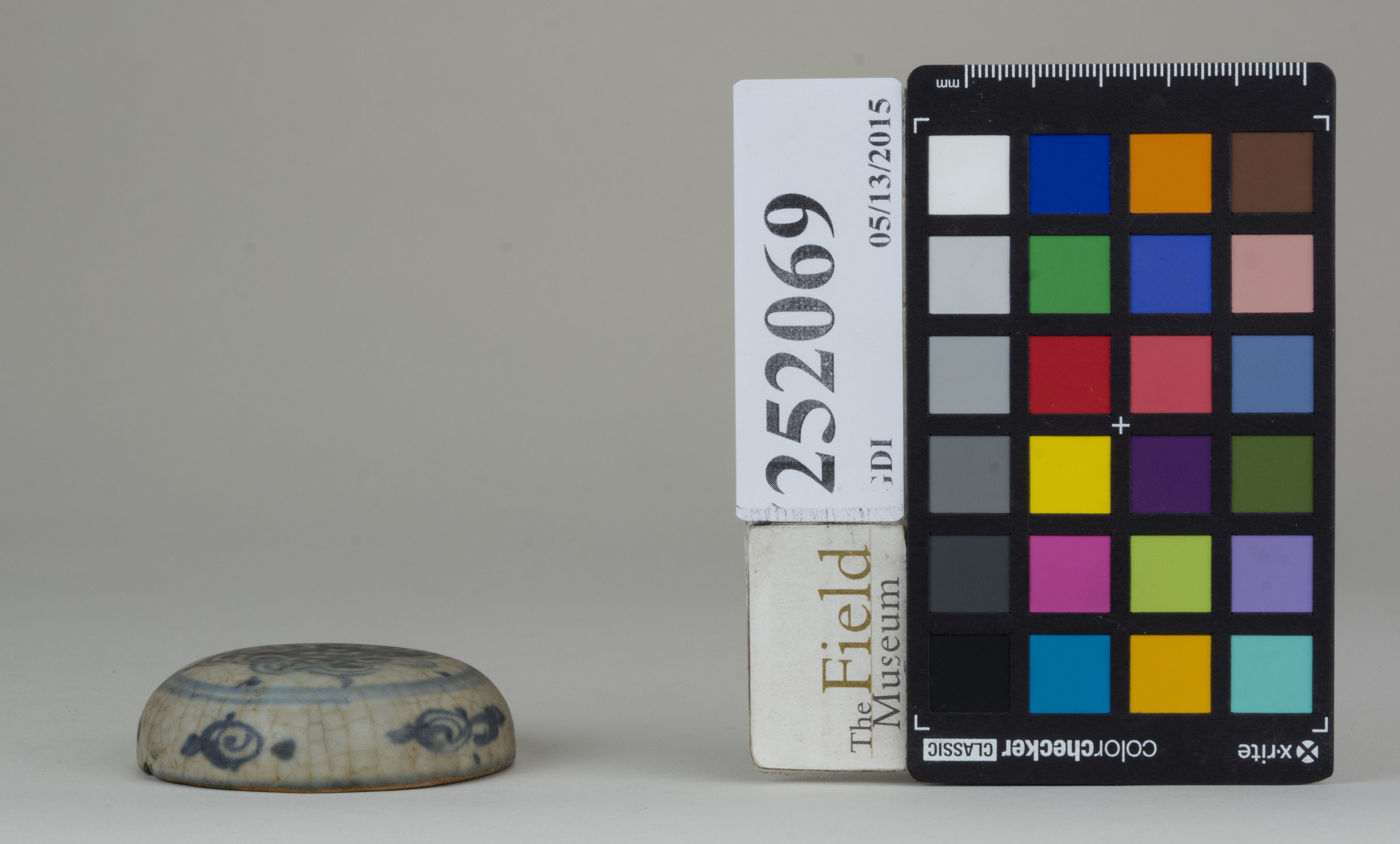 reference image, back 