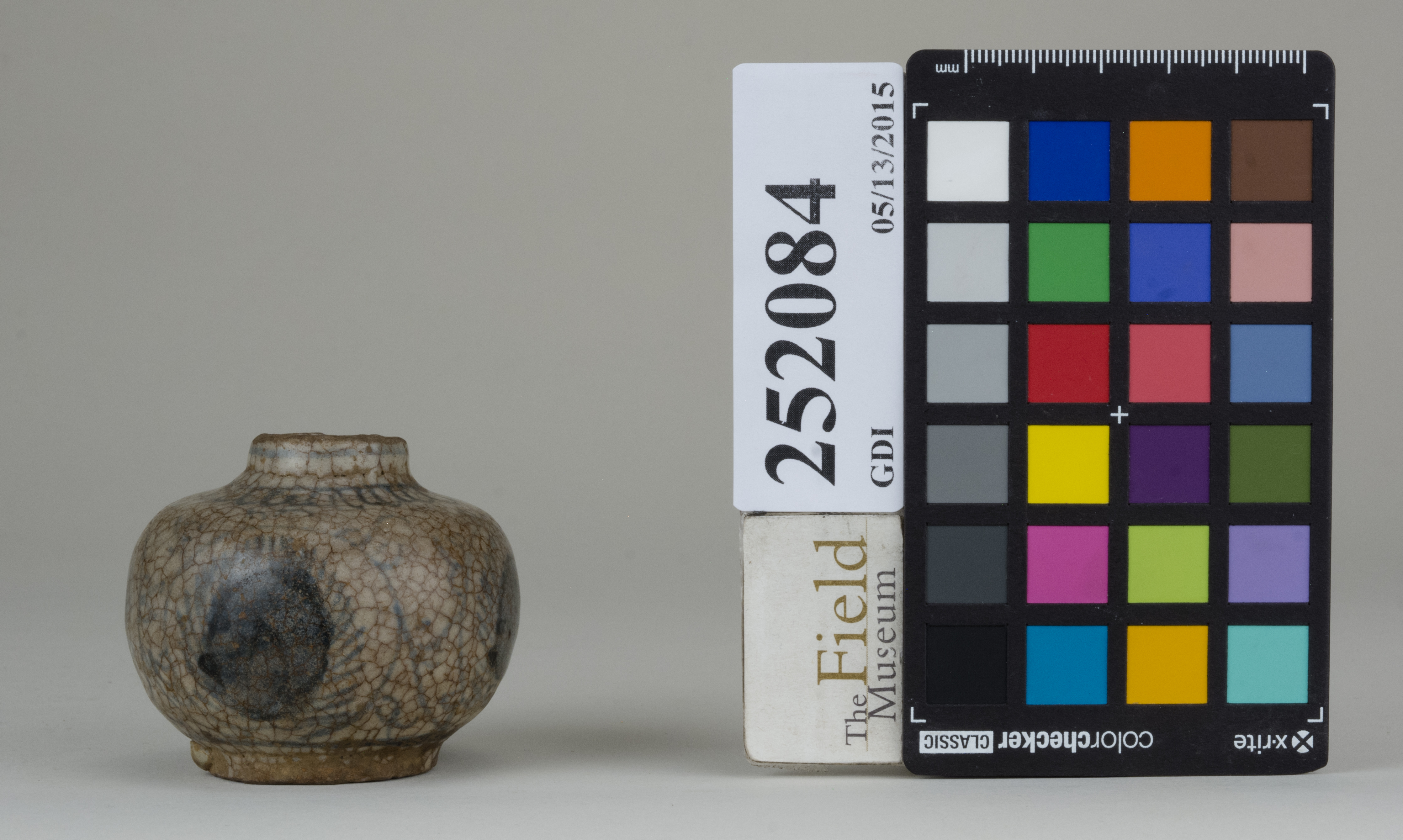 reference image, back 