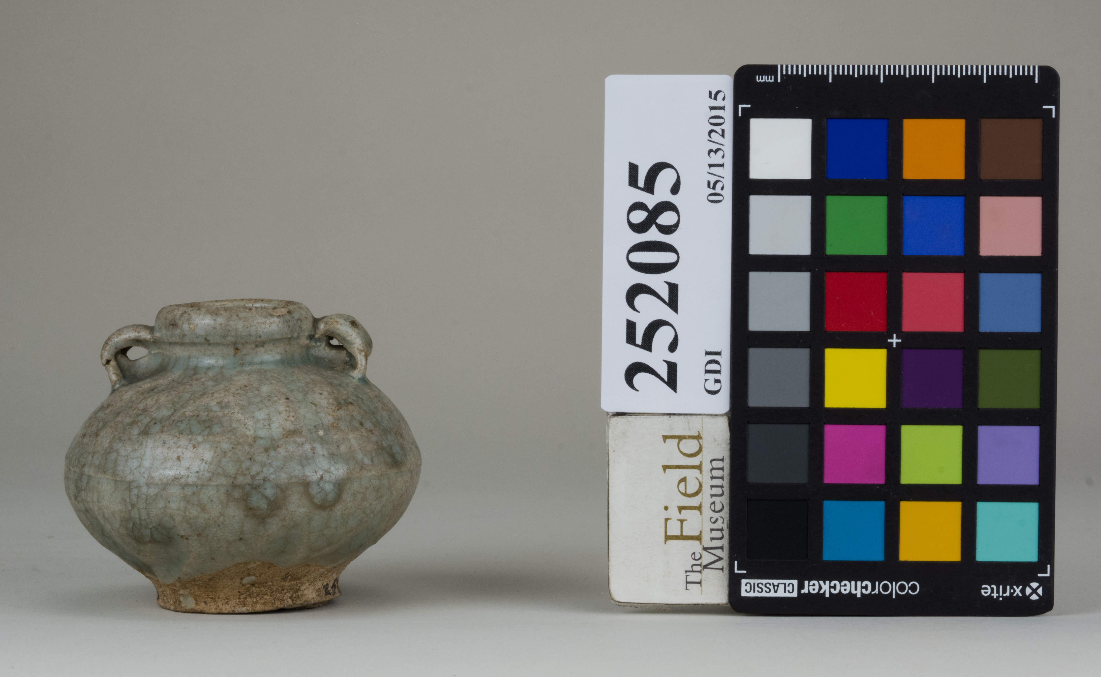 reference image, back 