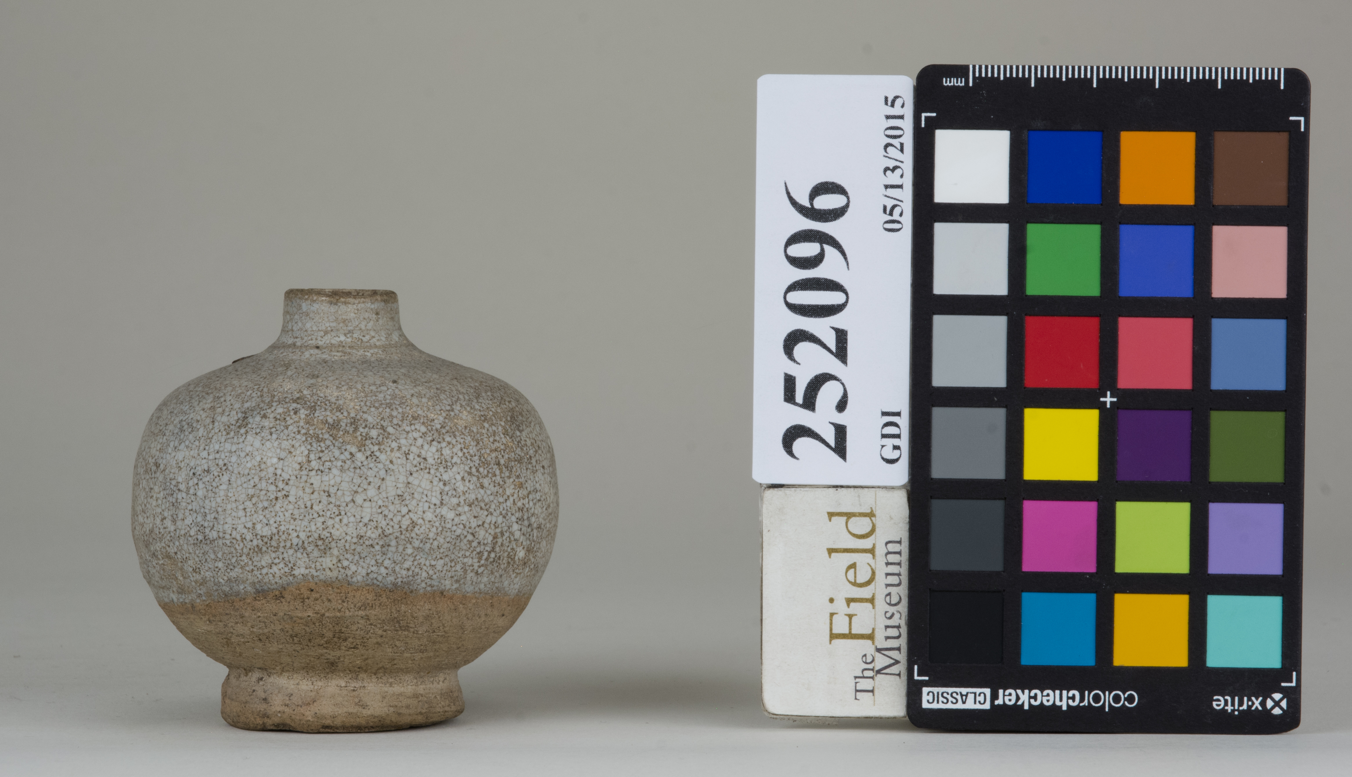 reference image, back 