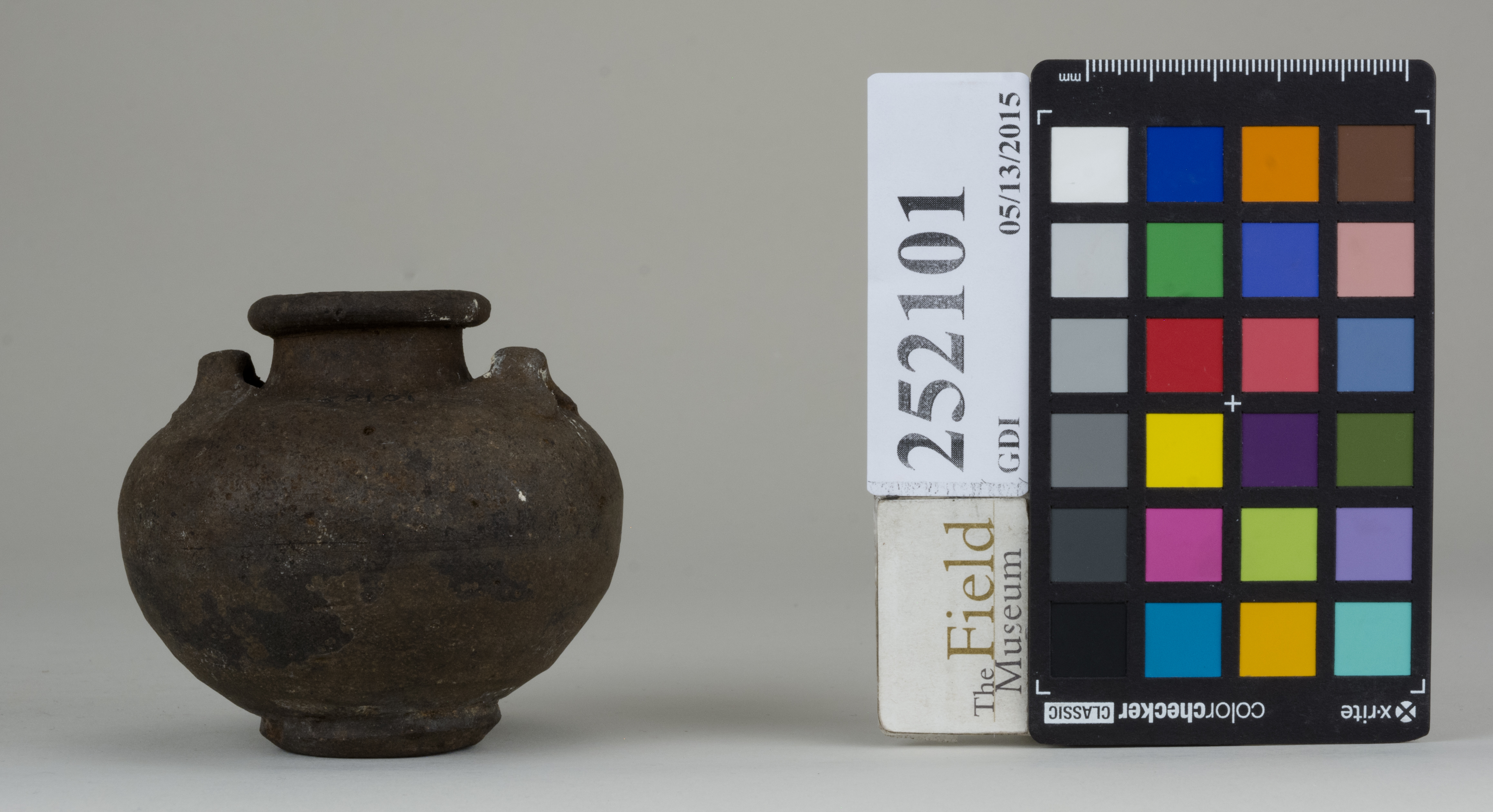 reference image, back 