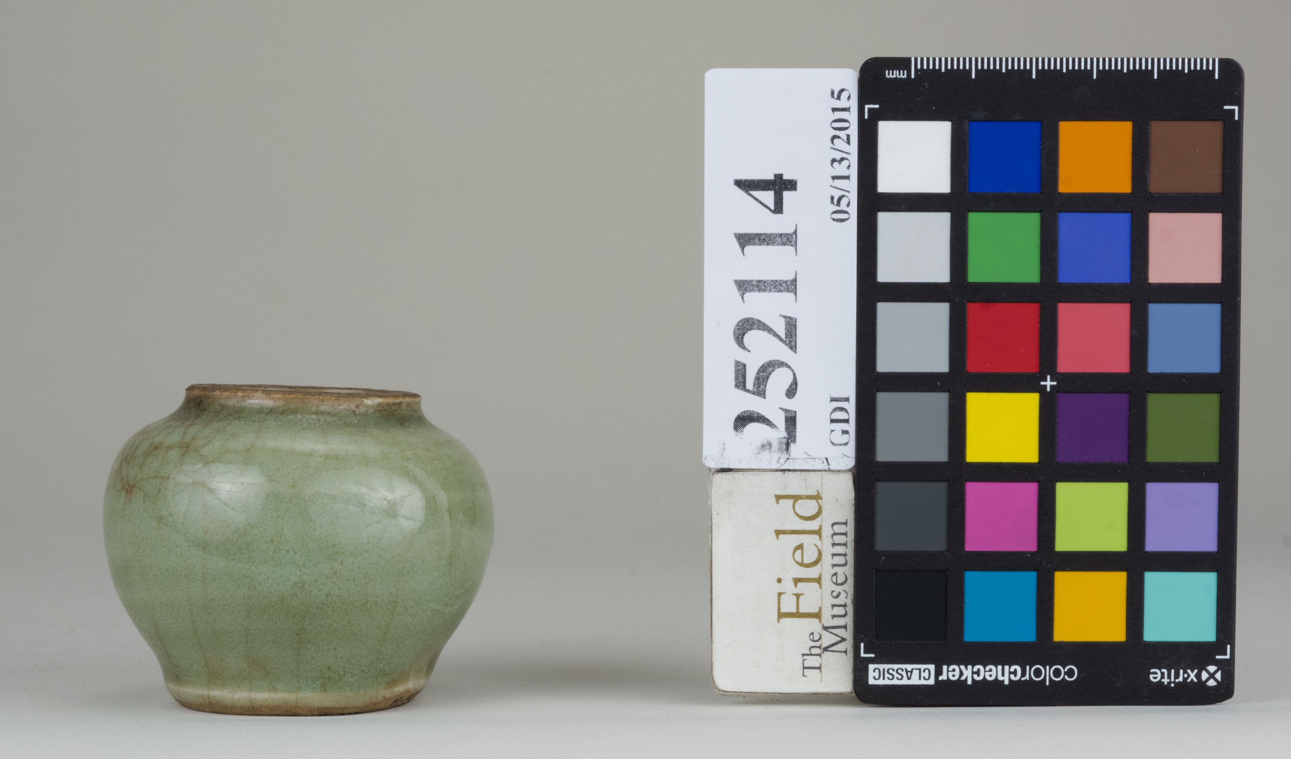 reference image, back 