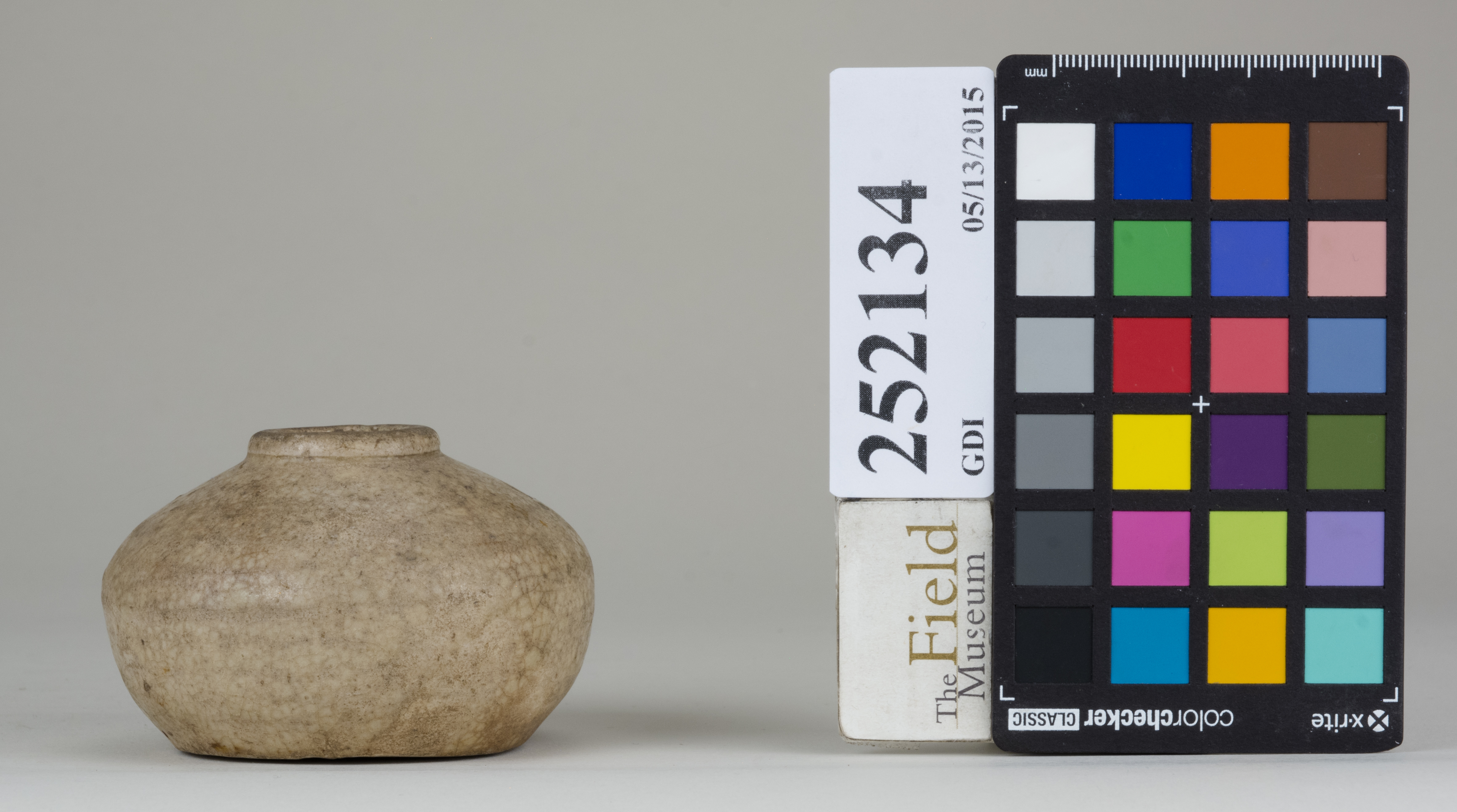 reference image, back 