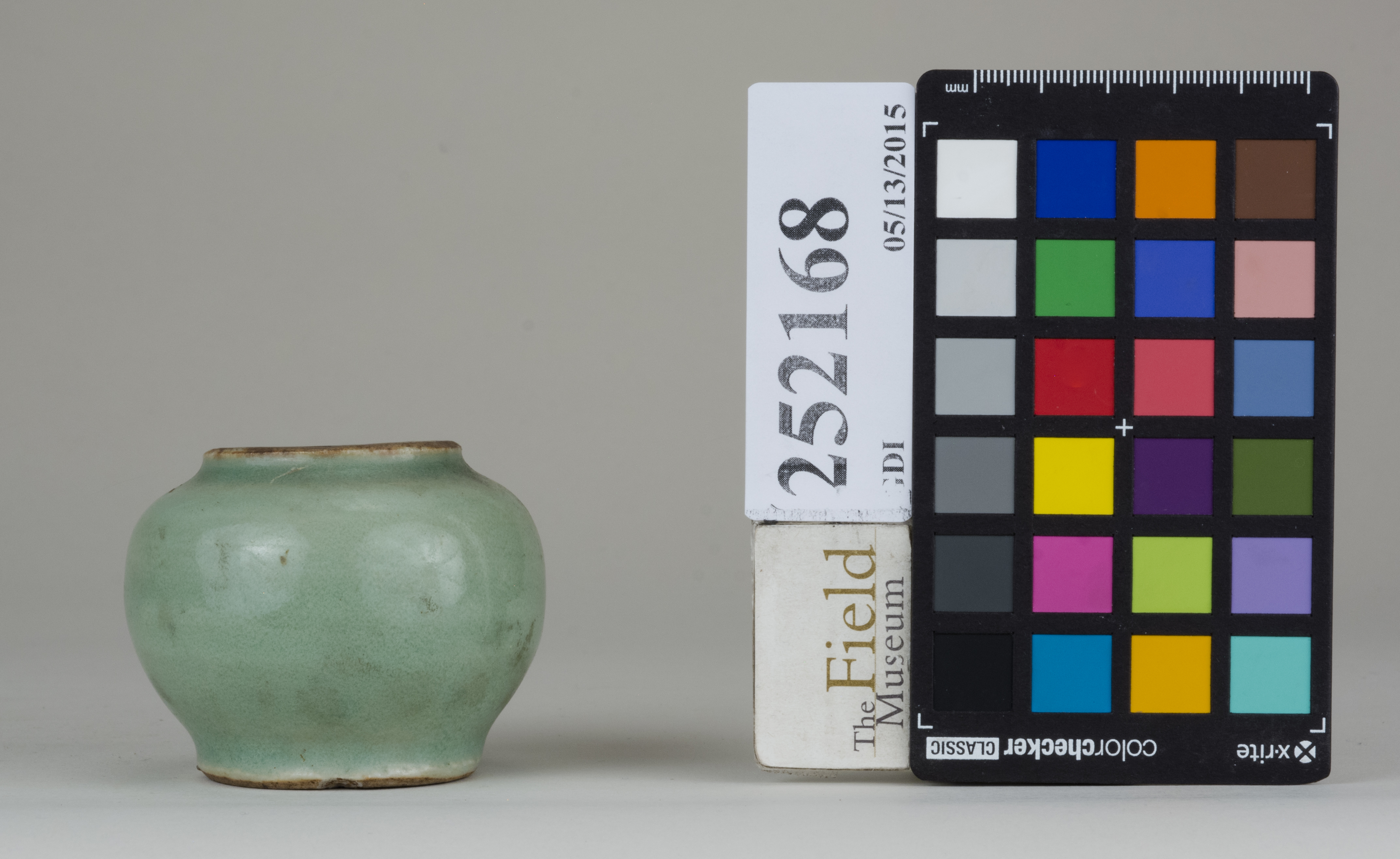 reference image, back 