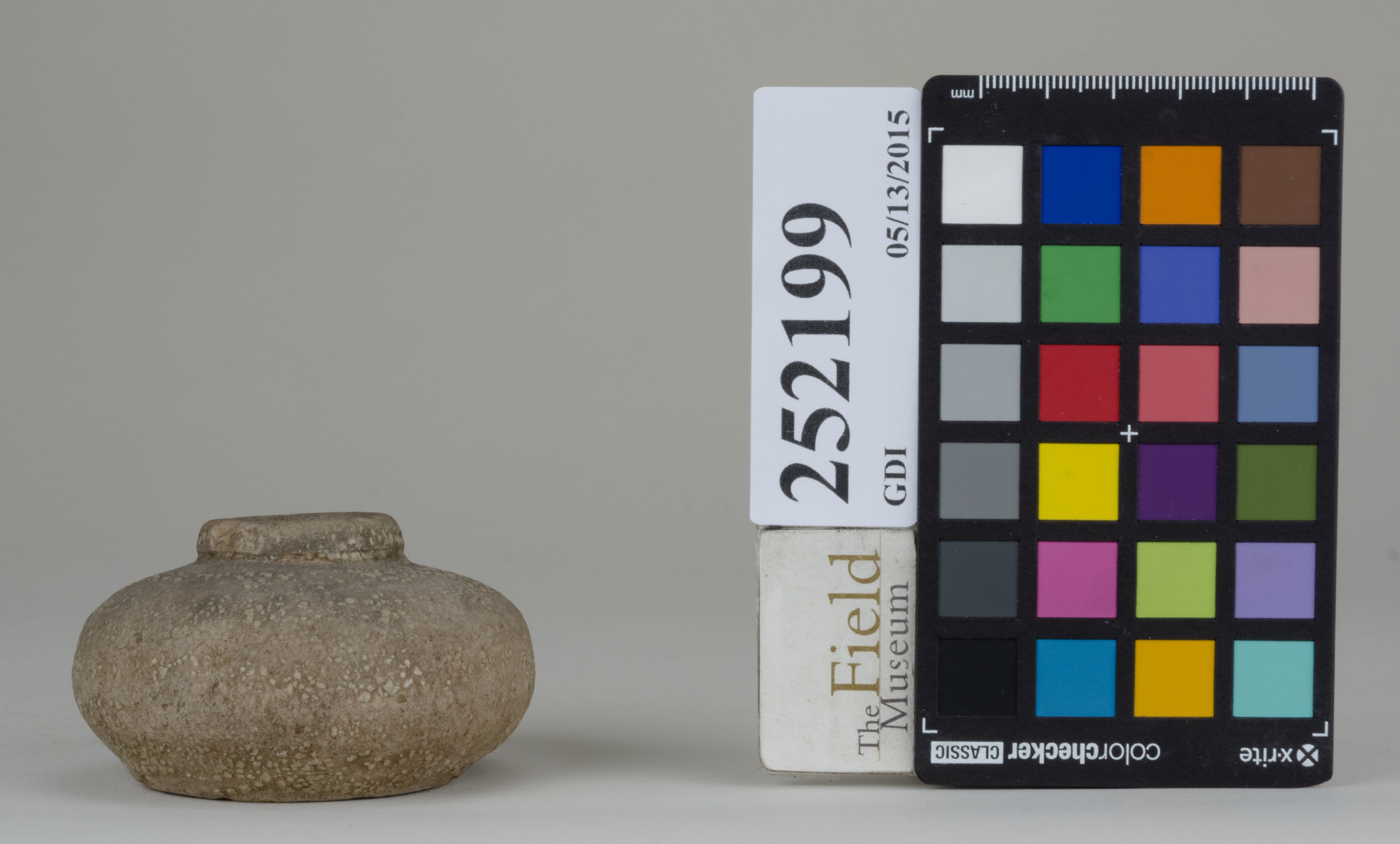 reference image, back 