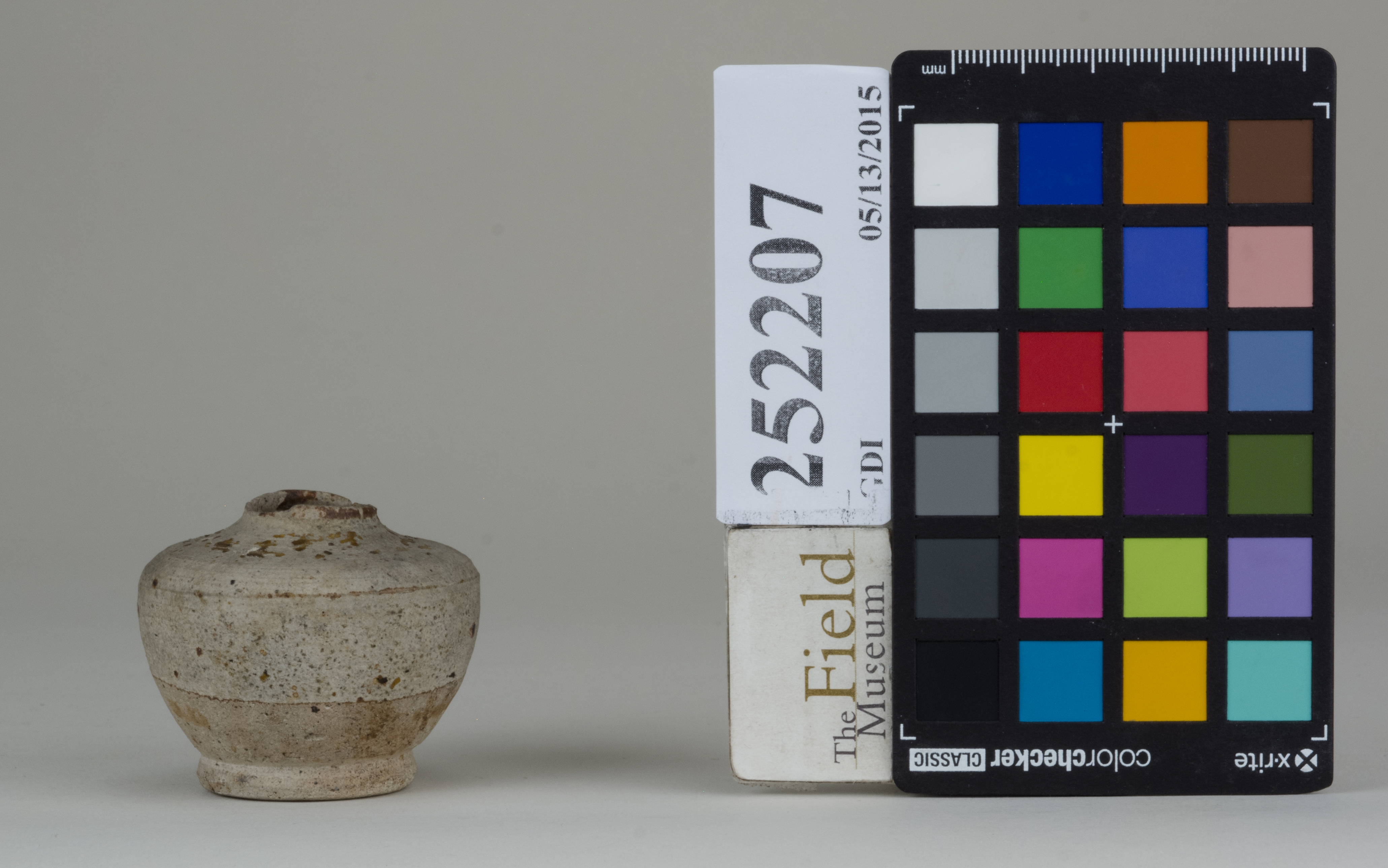 reference image, back 