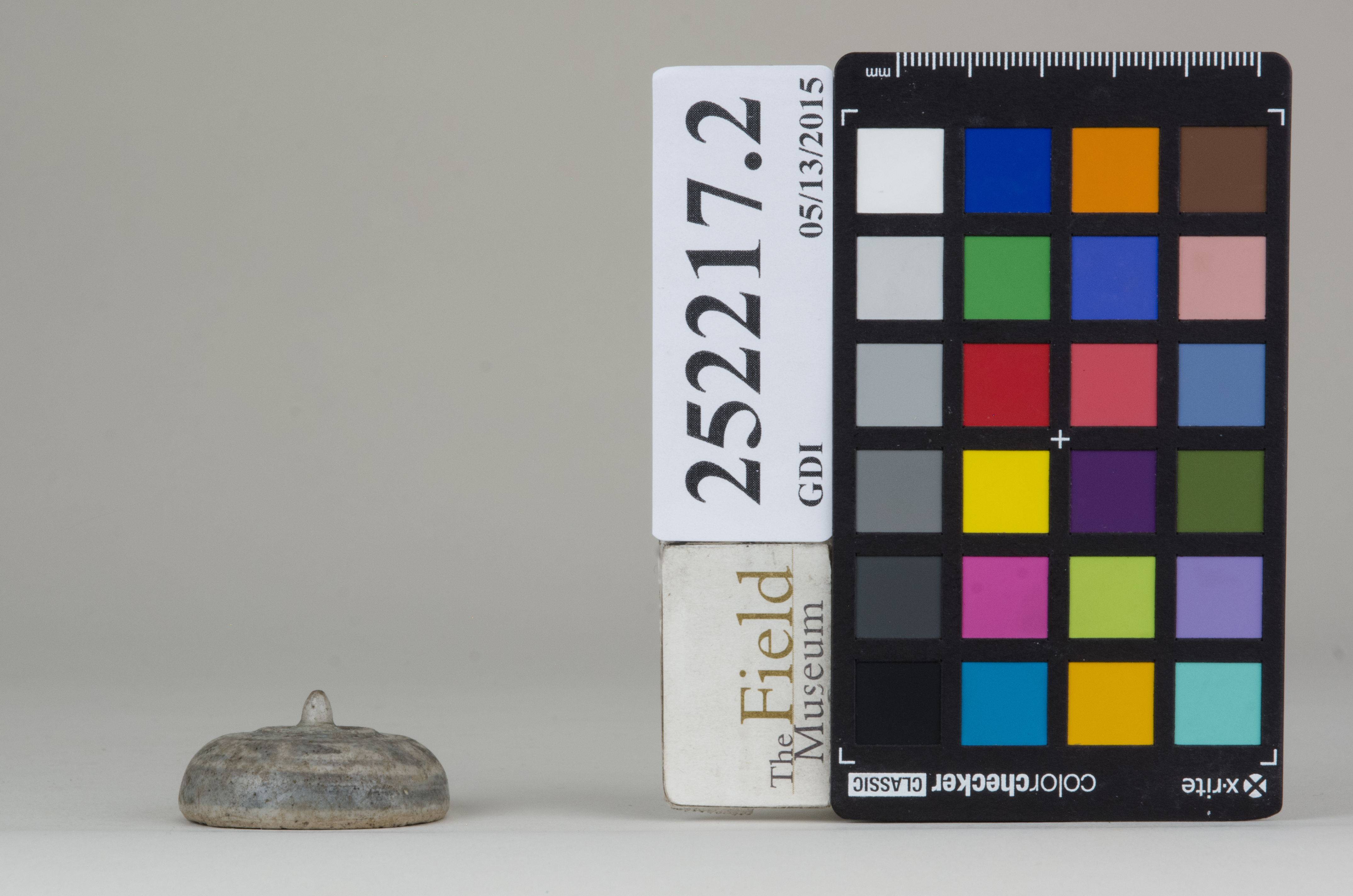 reference image, back 