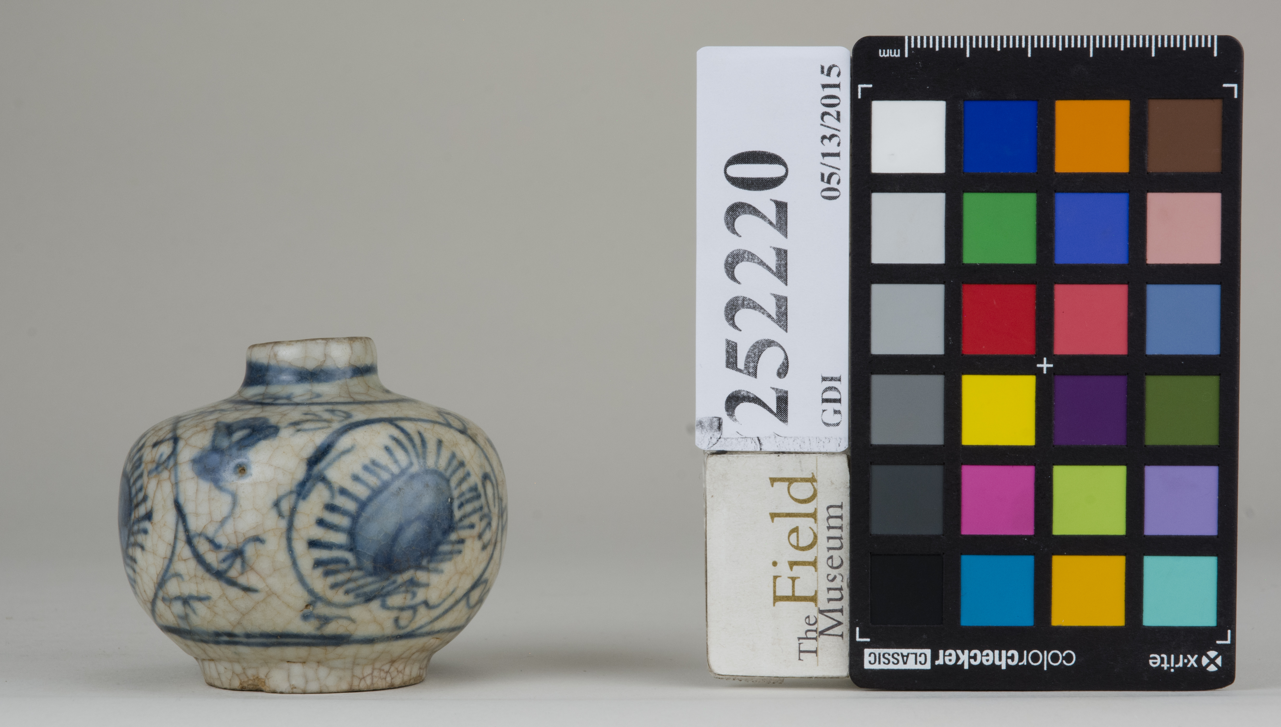 reference image, back 