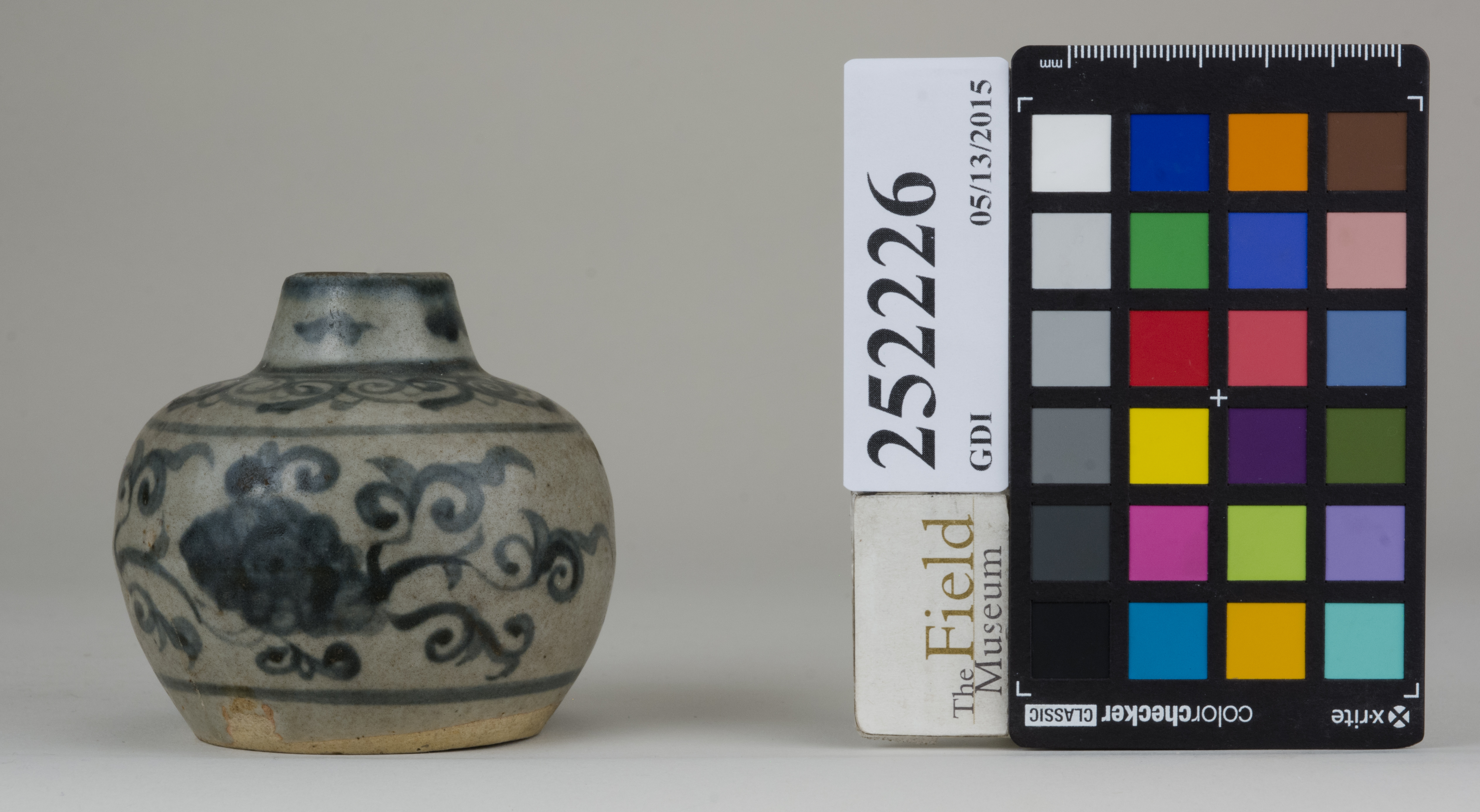 reference image, back 