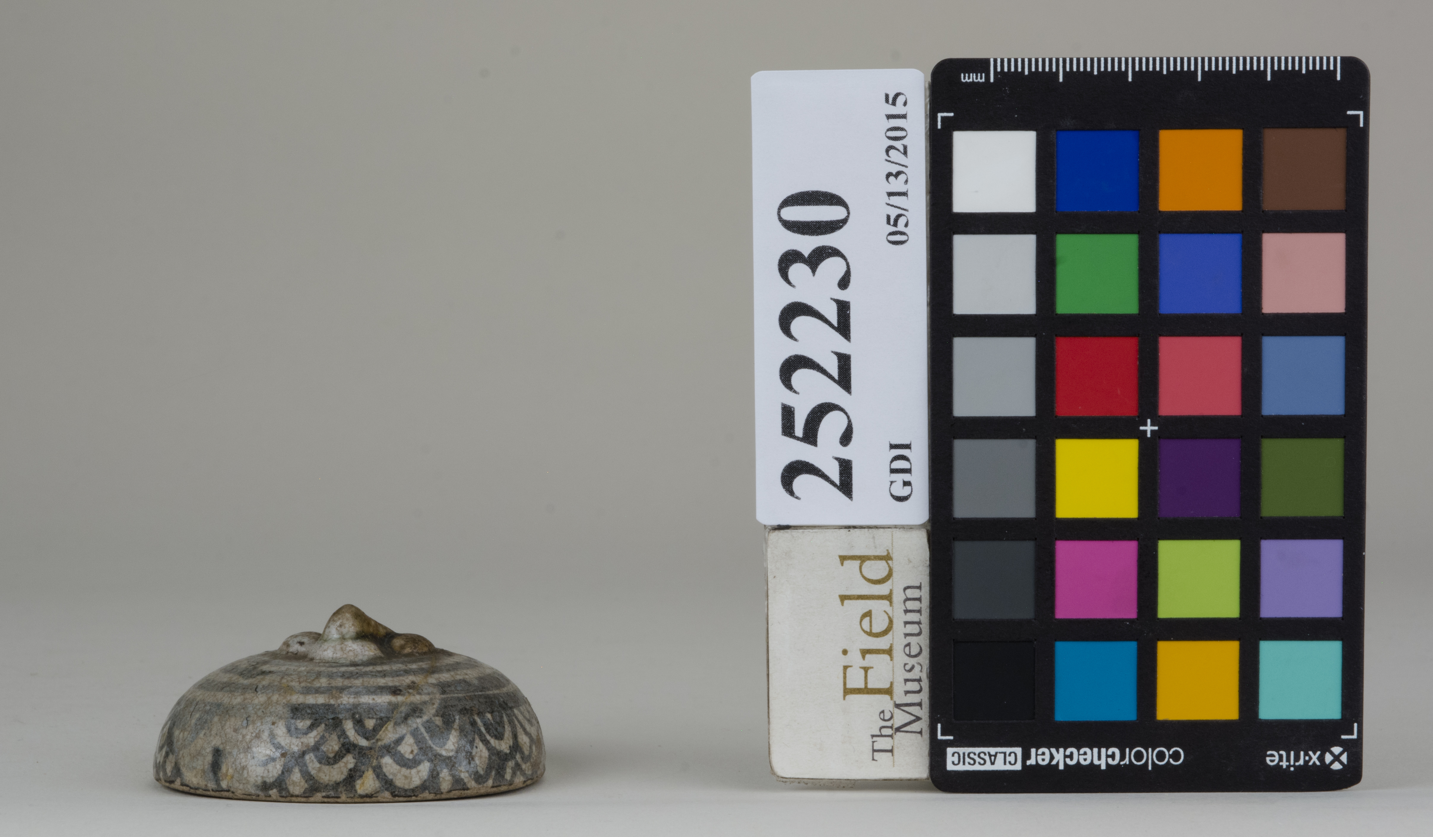 reference image, back 