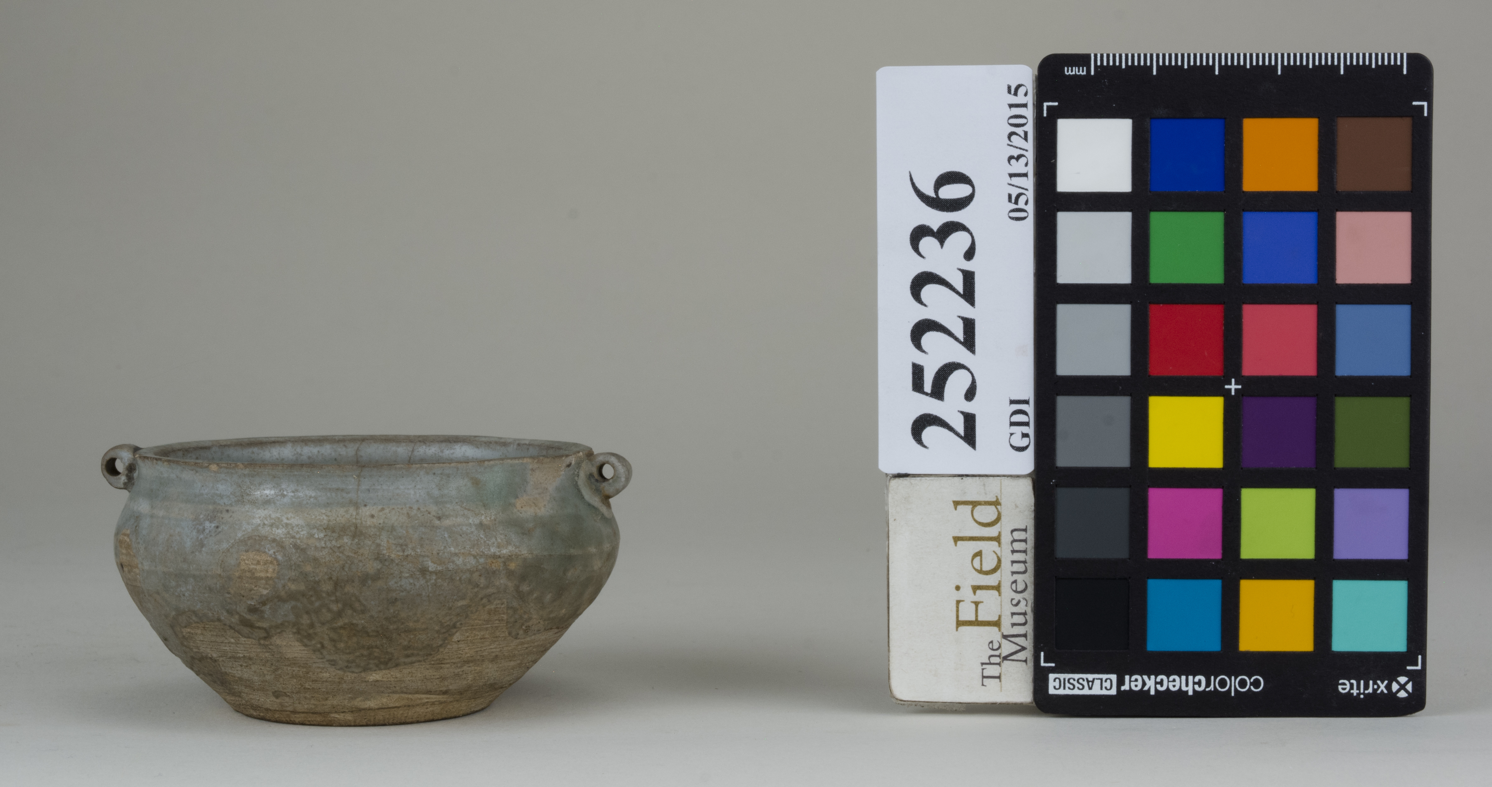 reference image, back 