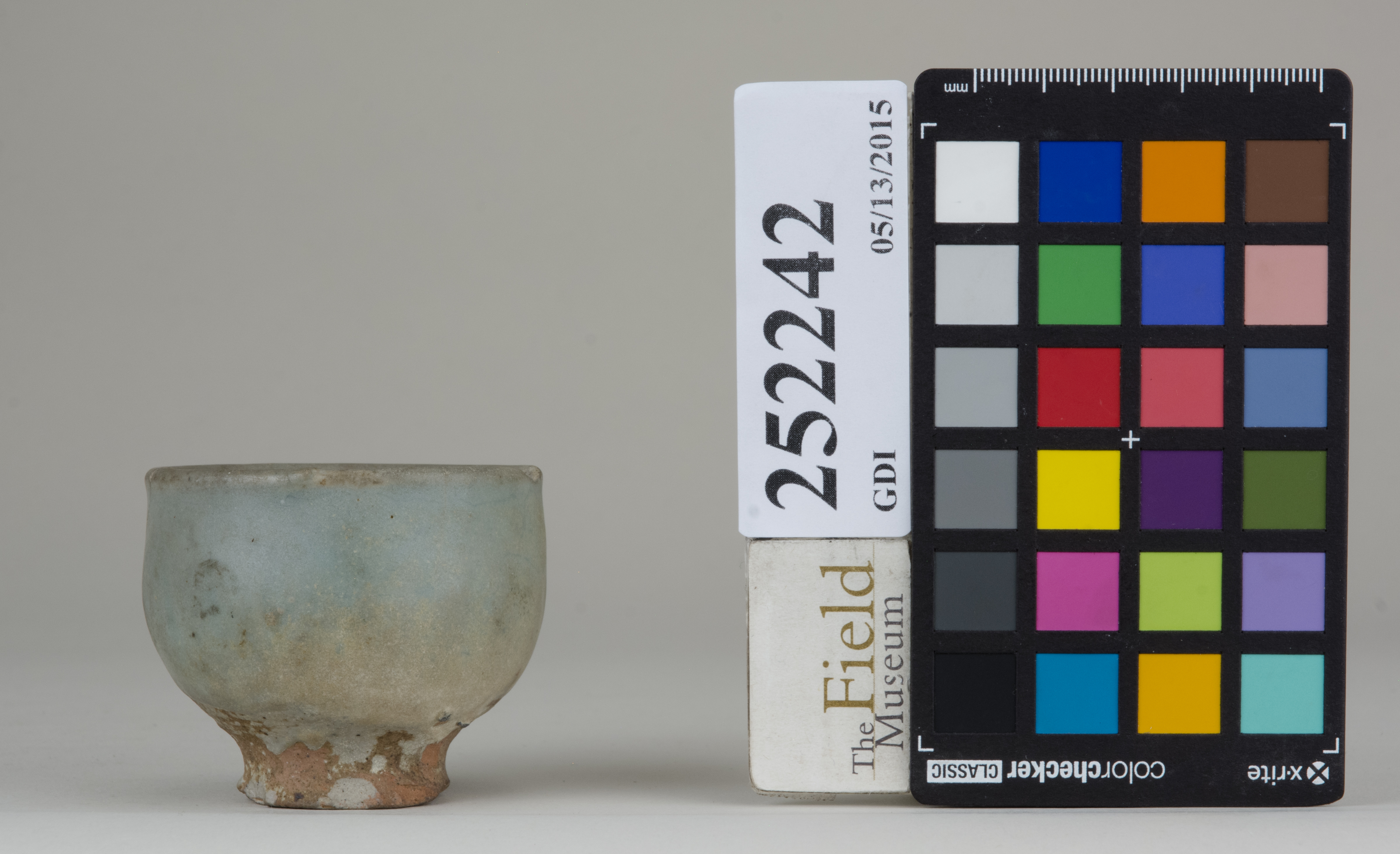 reference image, back 