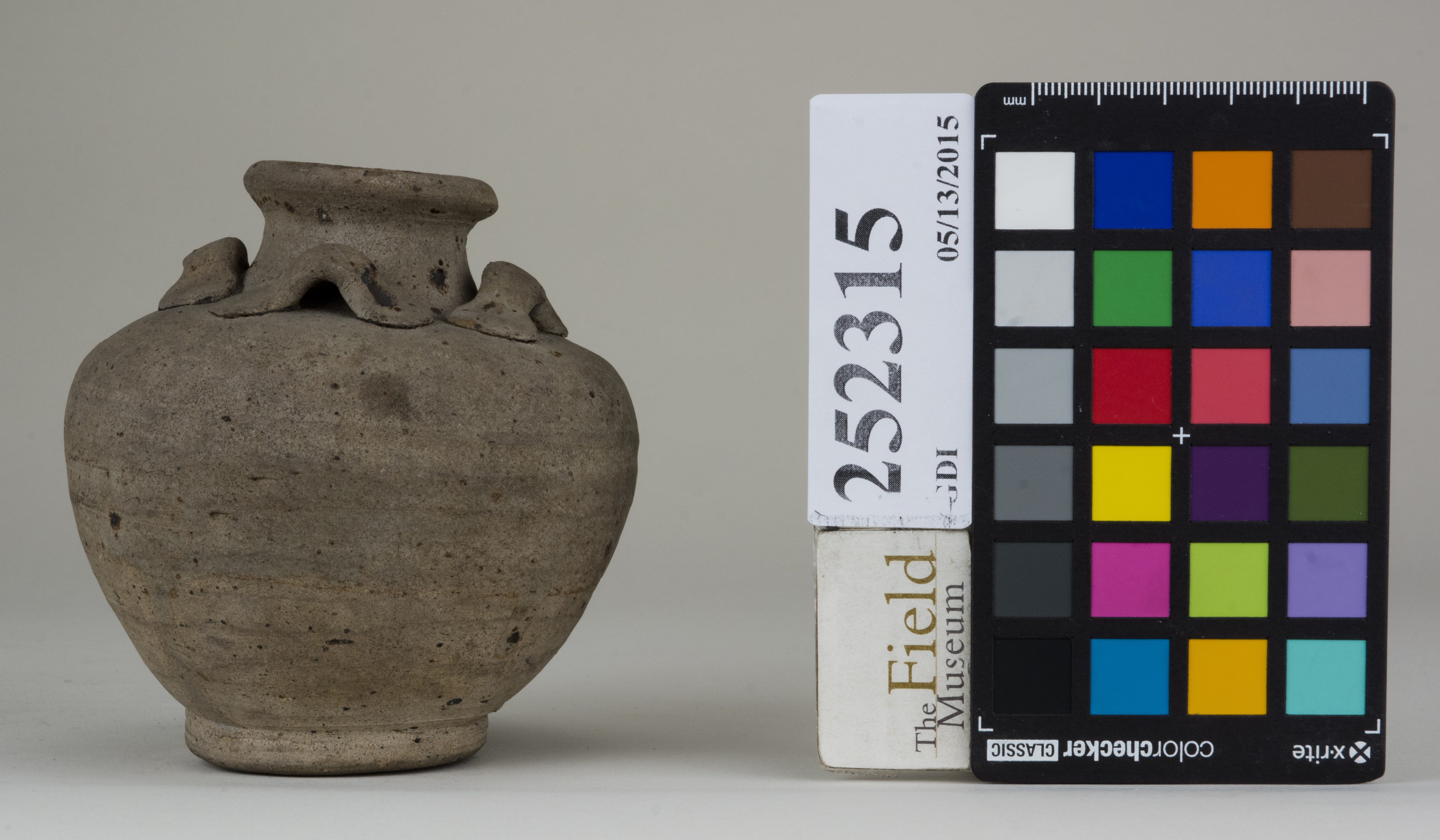 reference image, back 