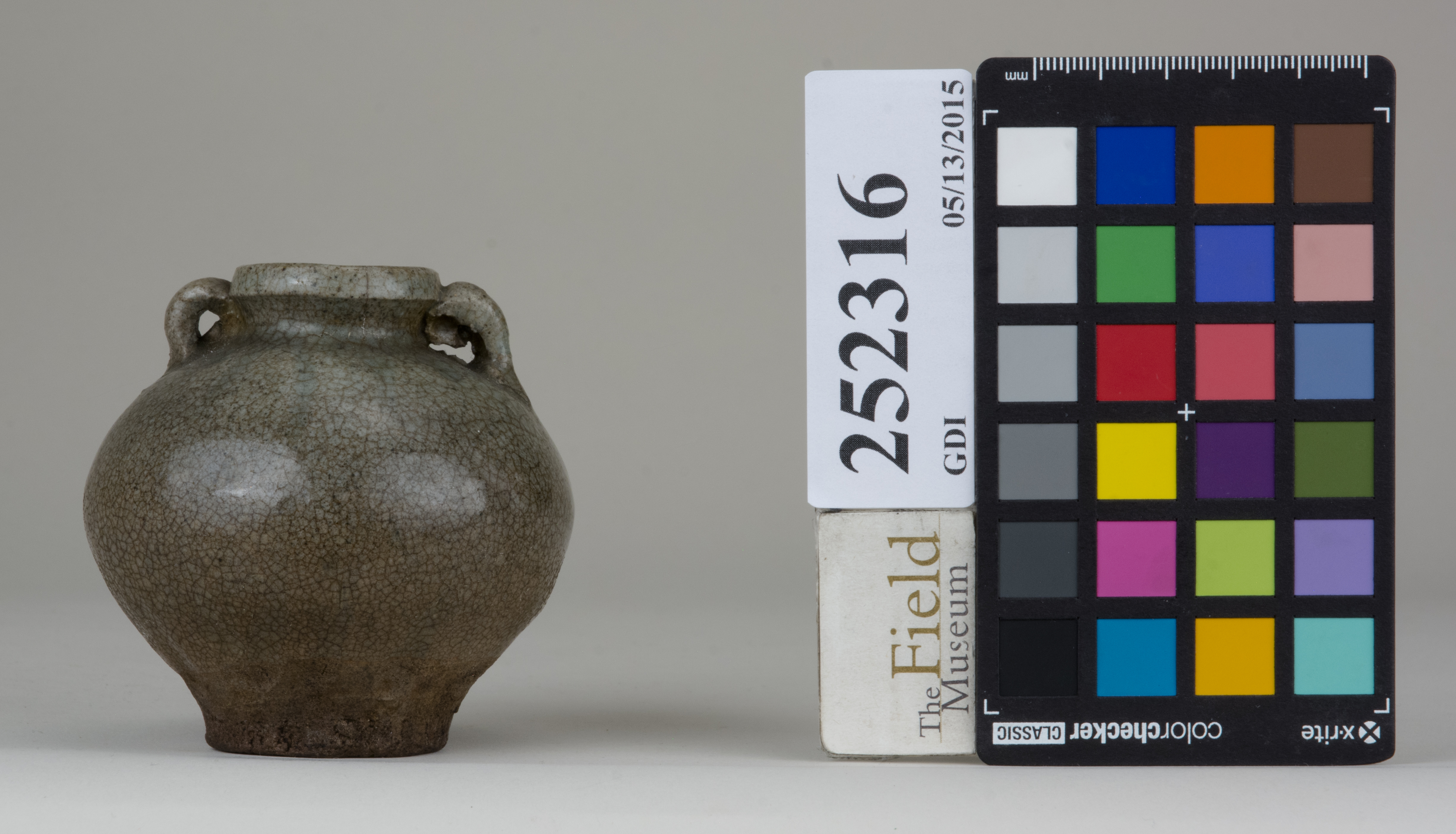 reference image, back 