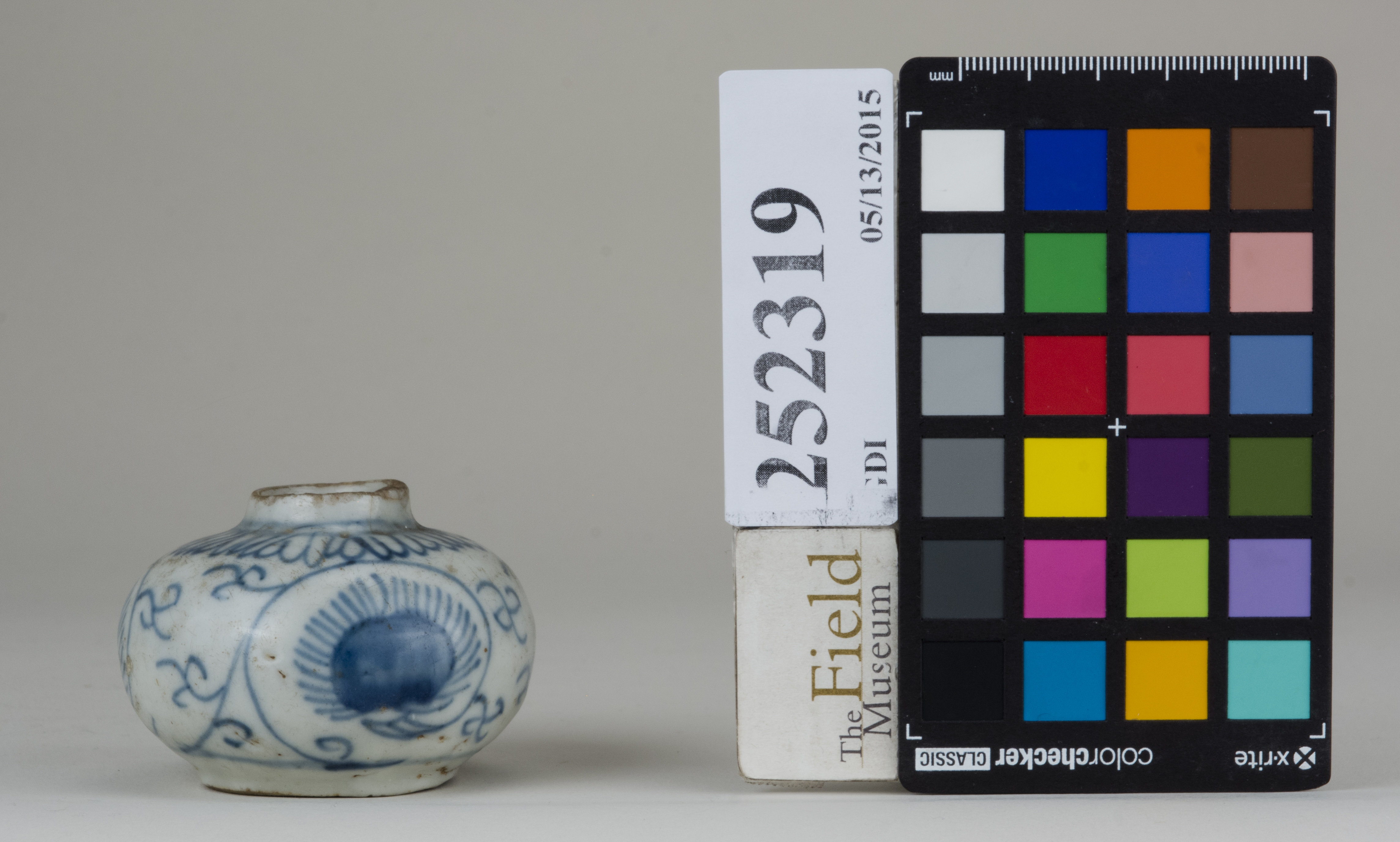 reference image, back 