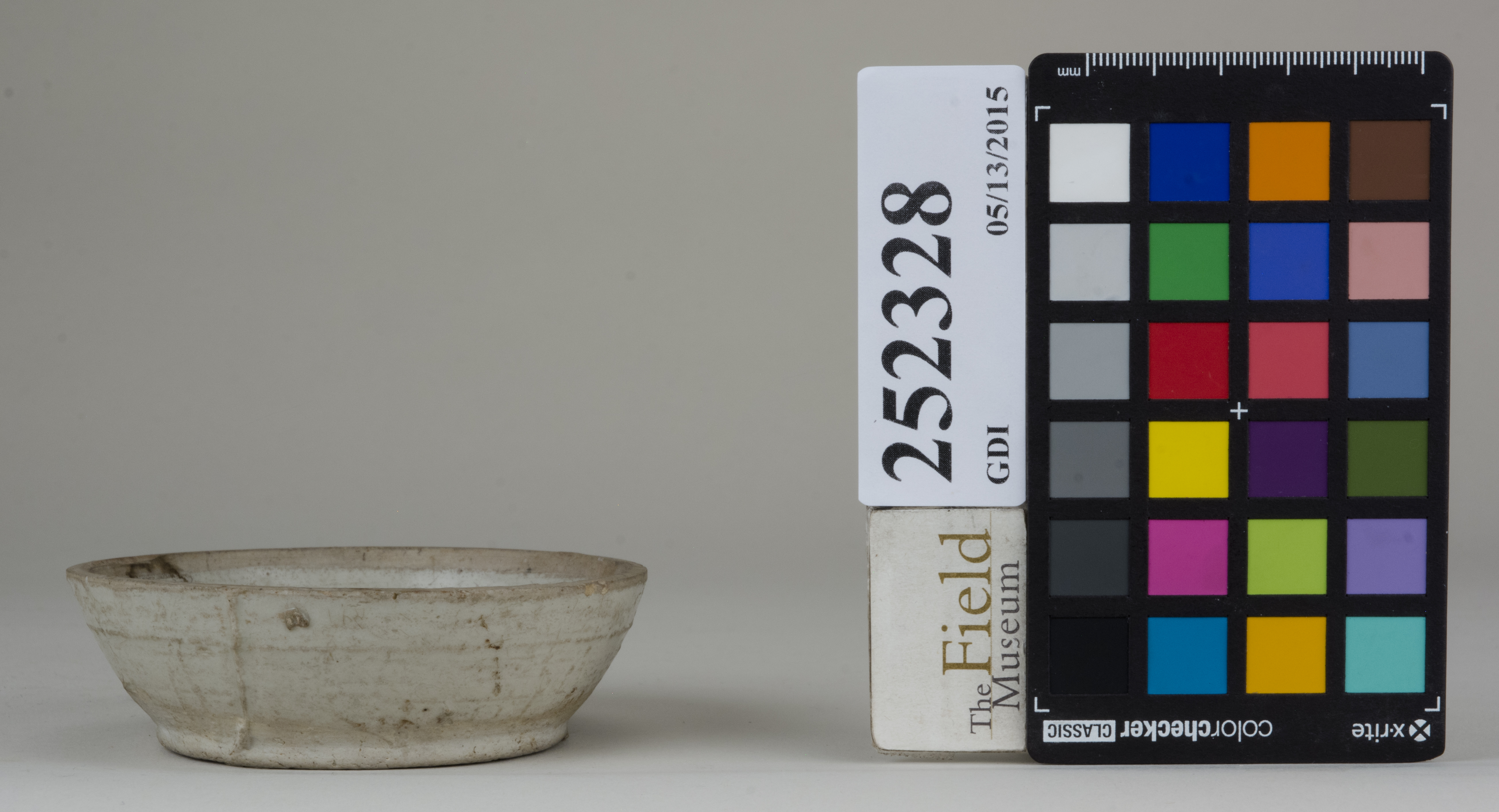 reference image, back 