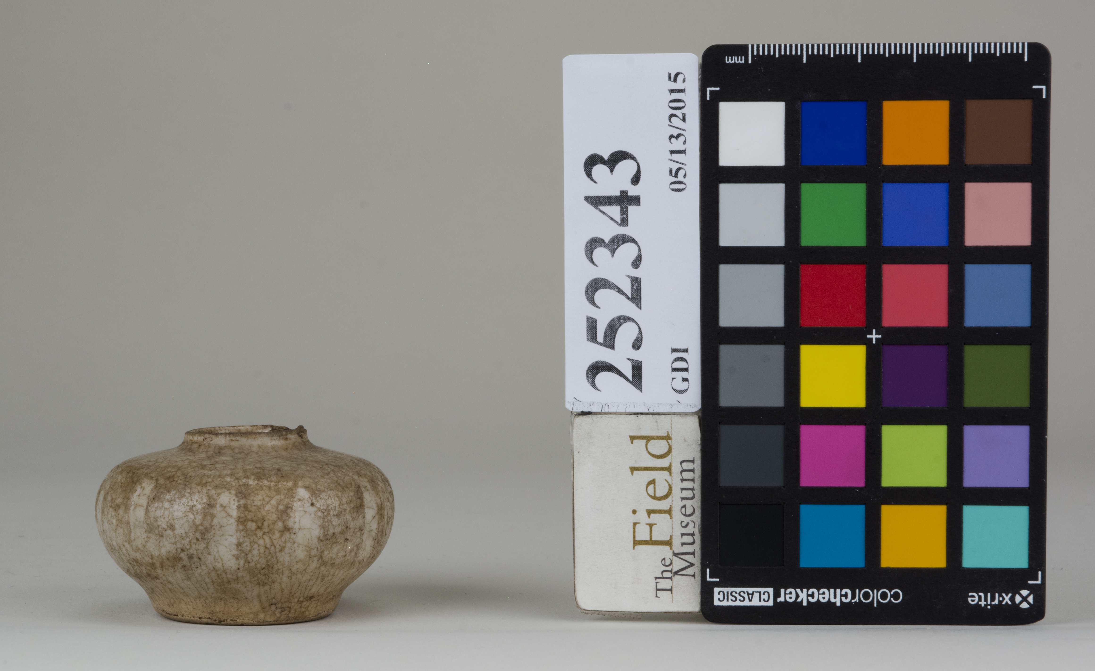 reference image, back 