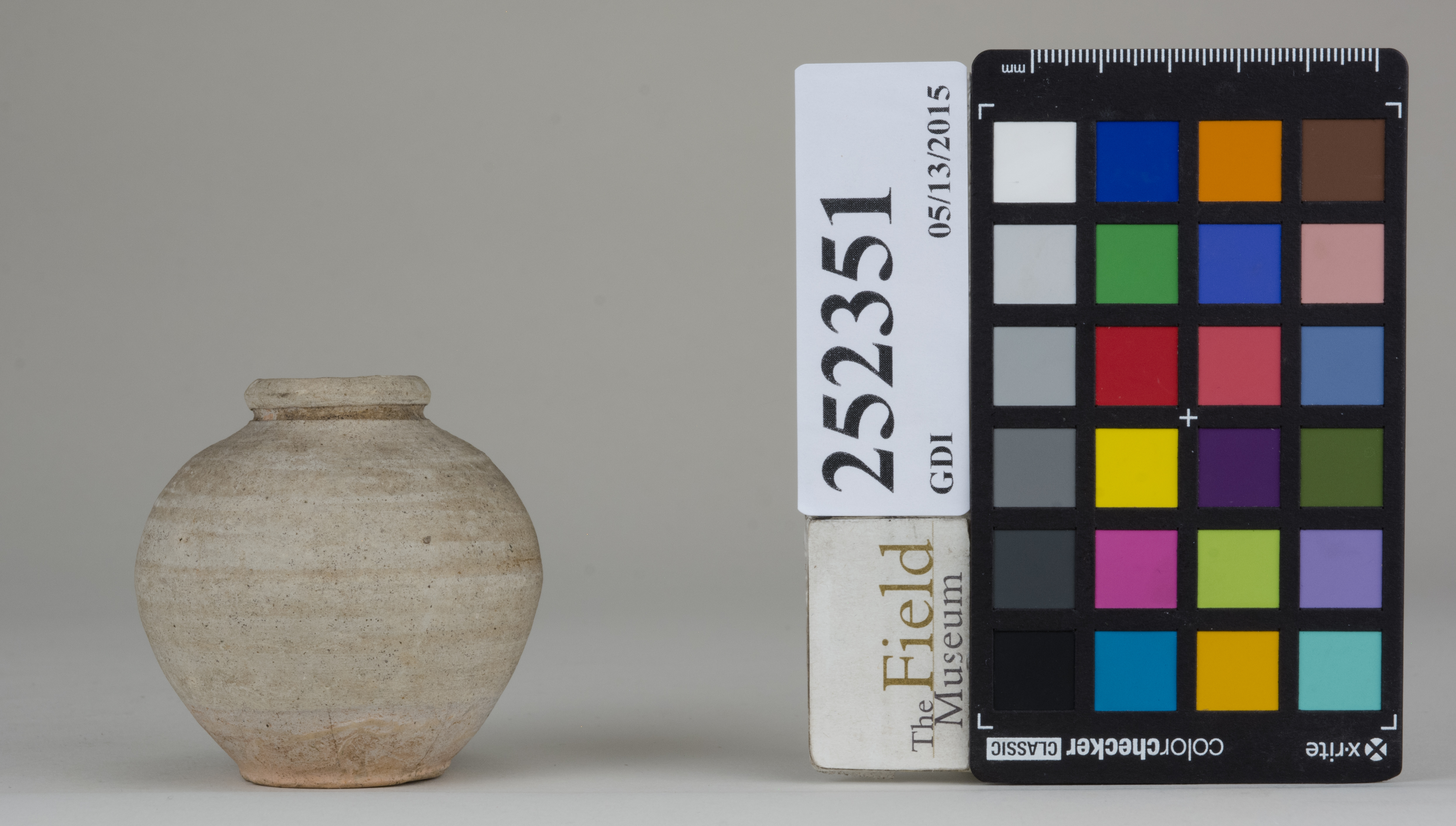 reference image, back 