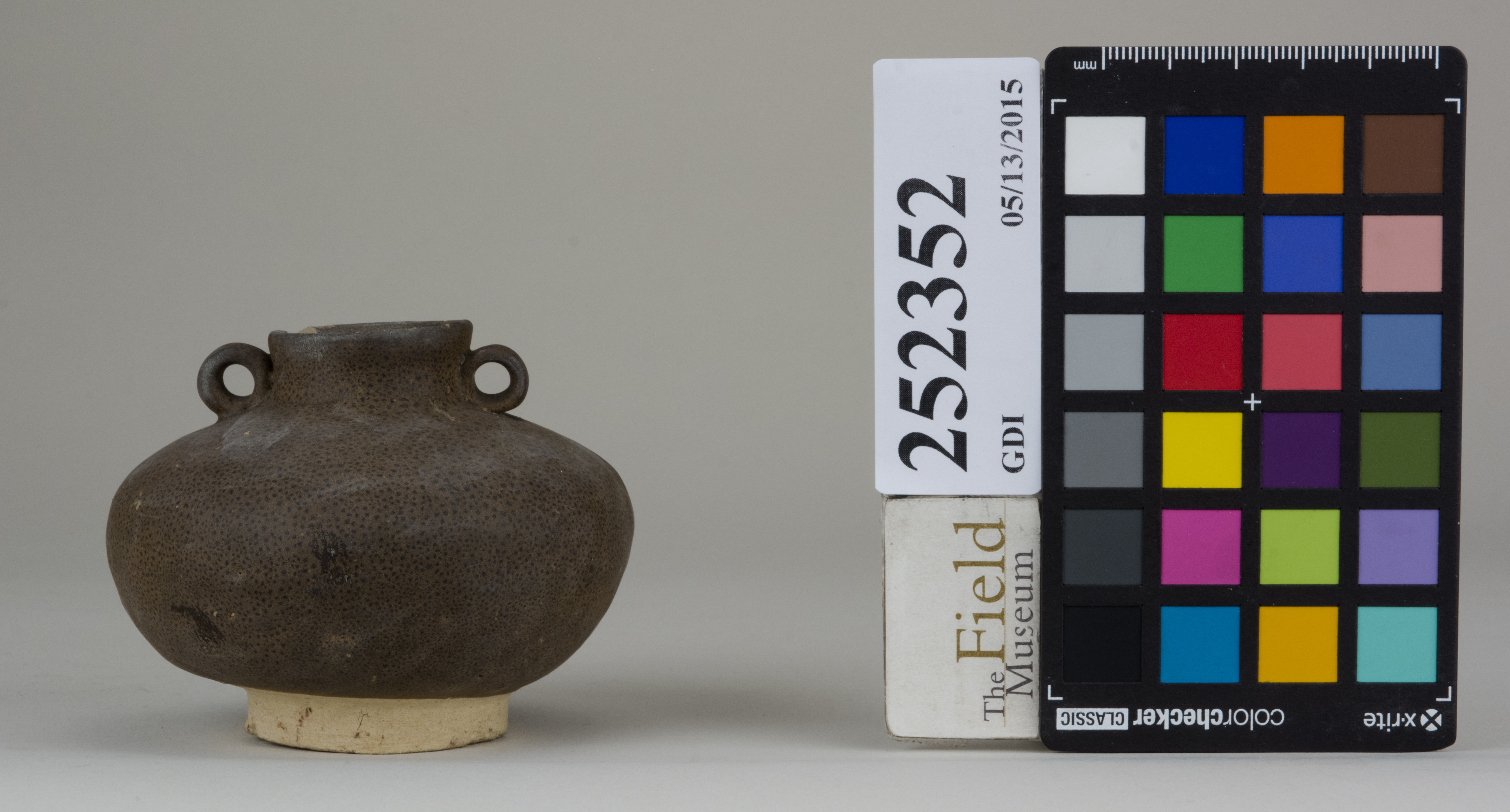 reference image, back 