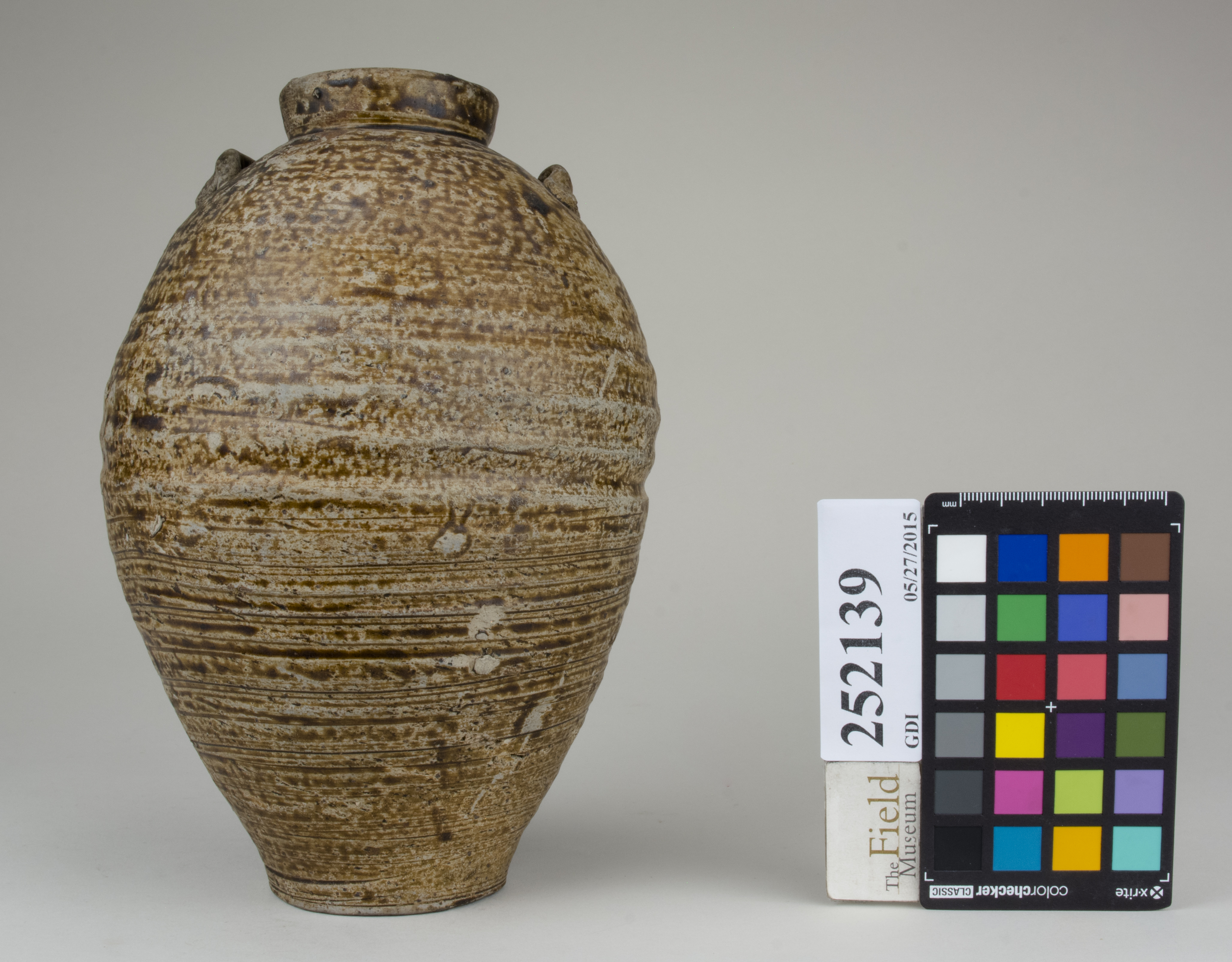 reference image, back 