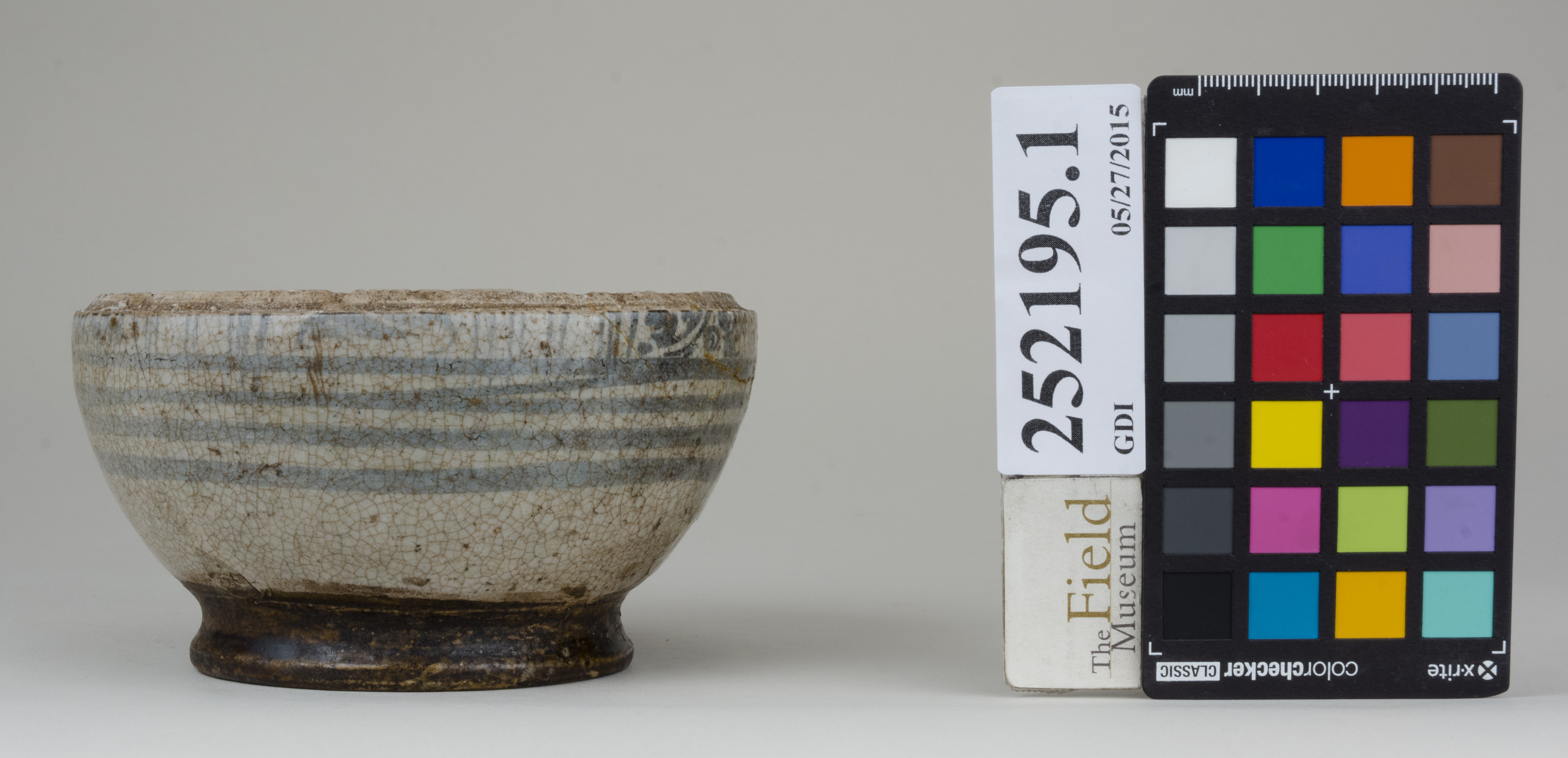 reference image, back 