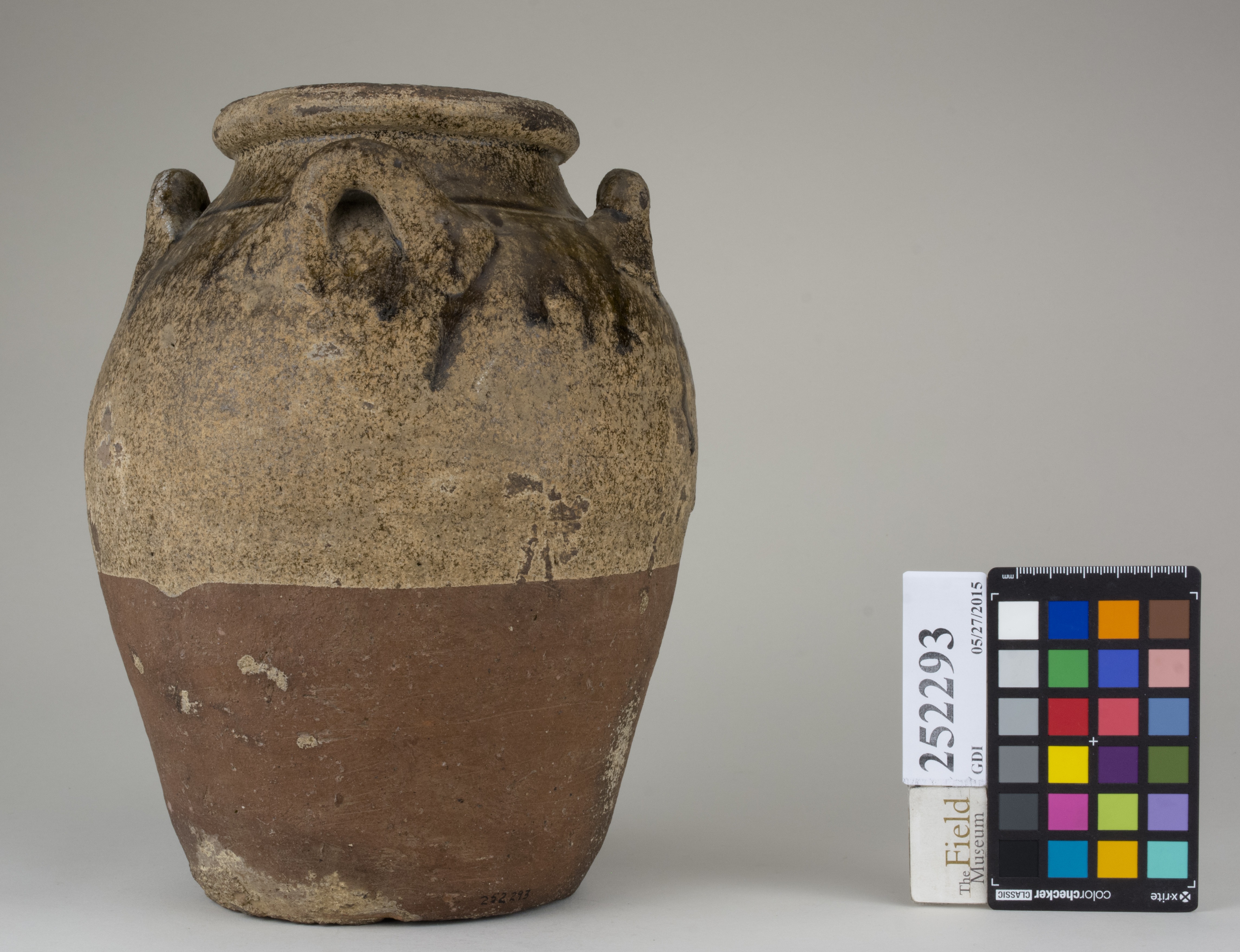 reference image, back 