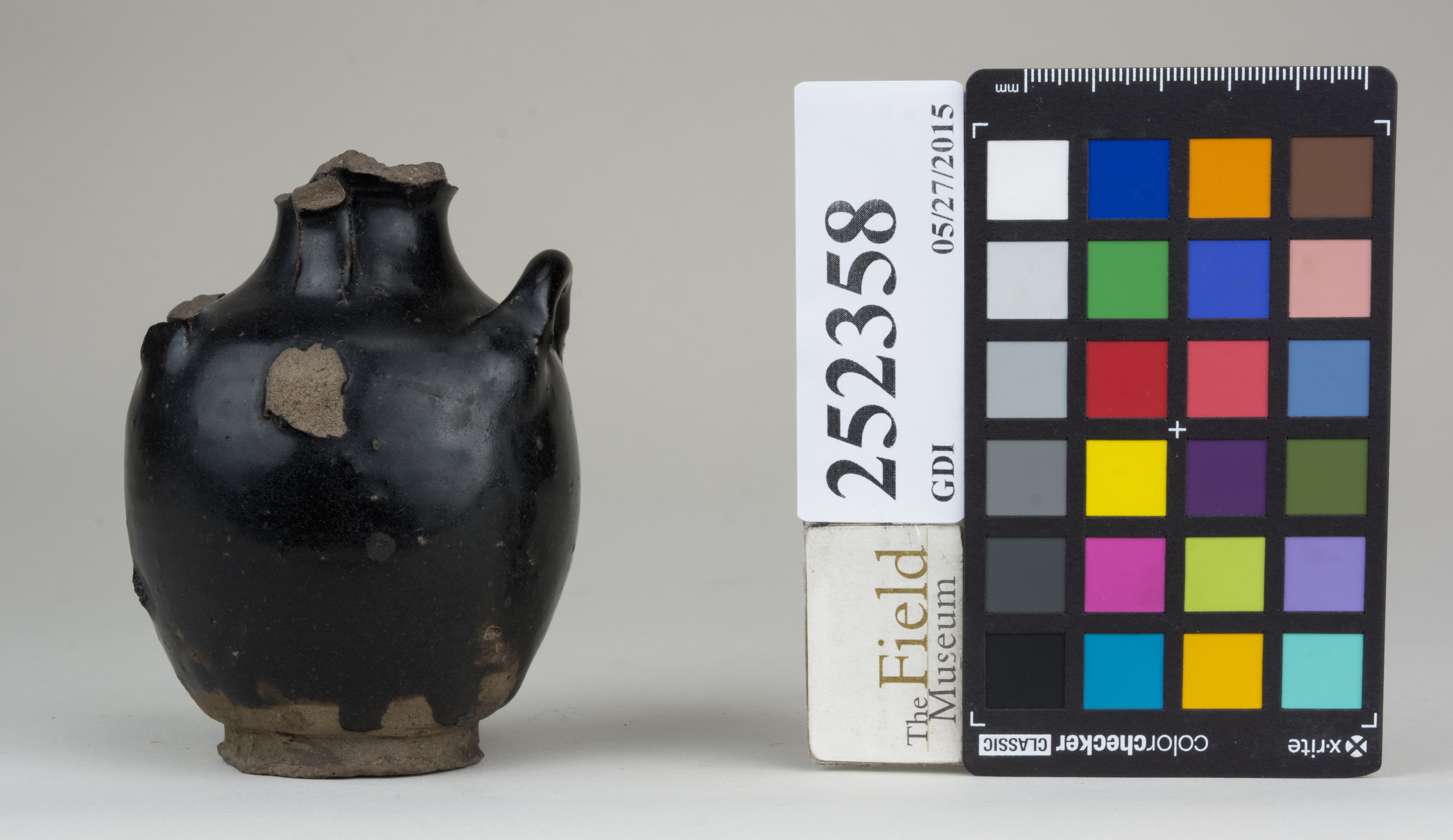 reference image, back 