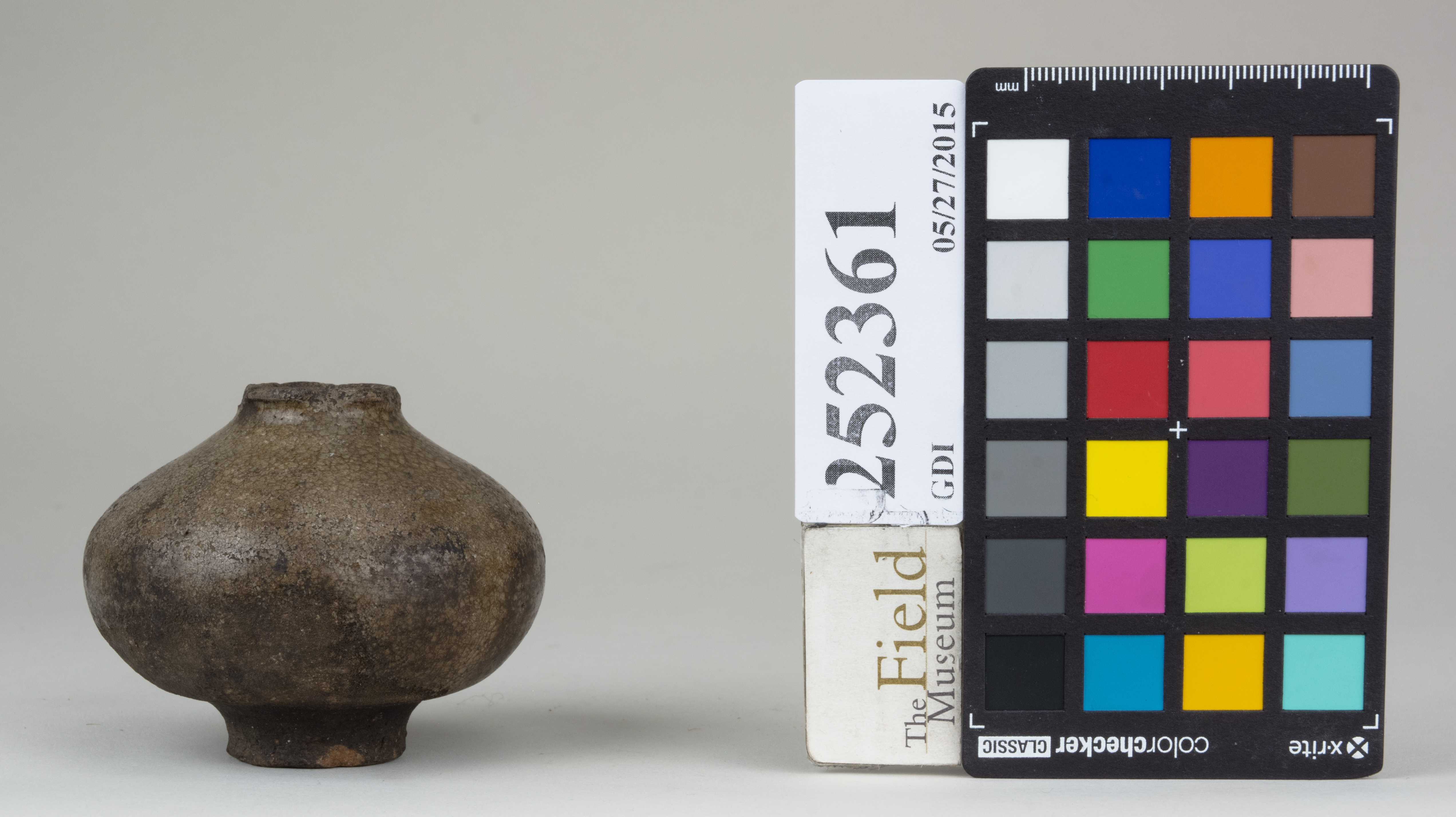 reference image, back 