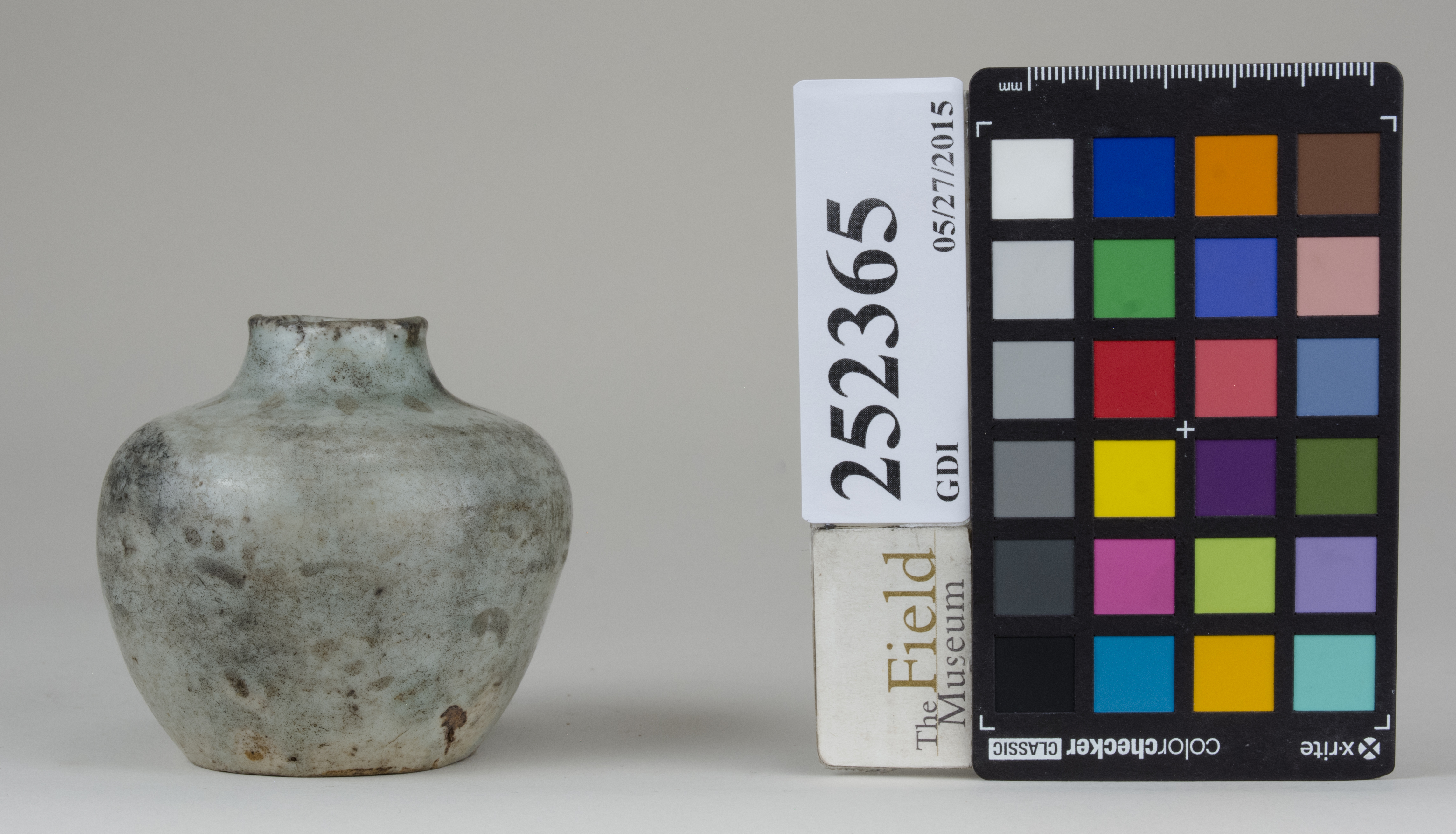 reference image, back 