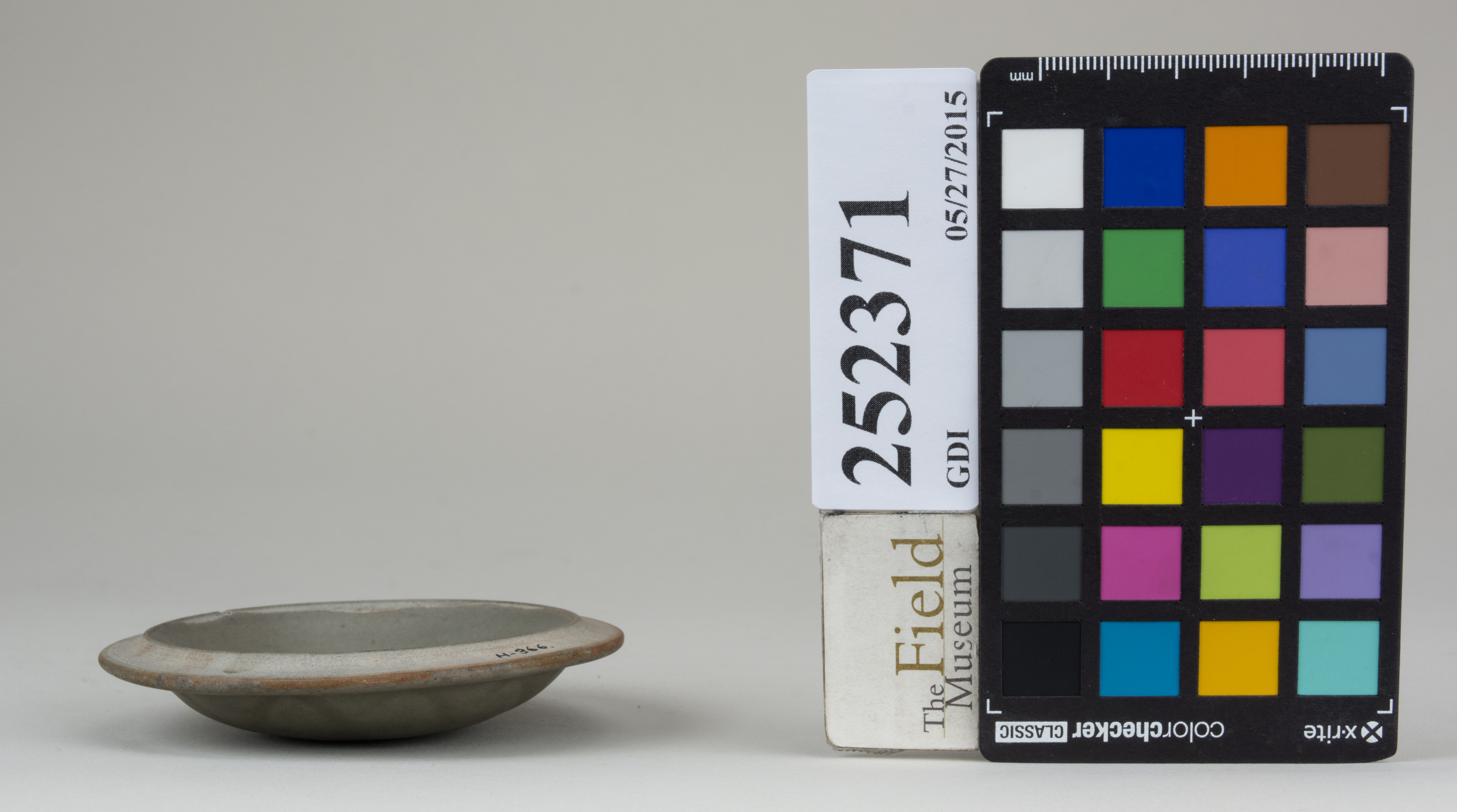 reference image, back 