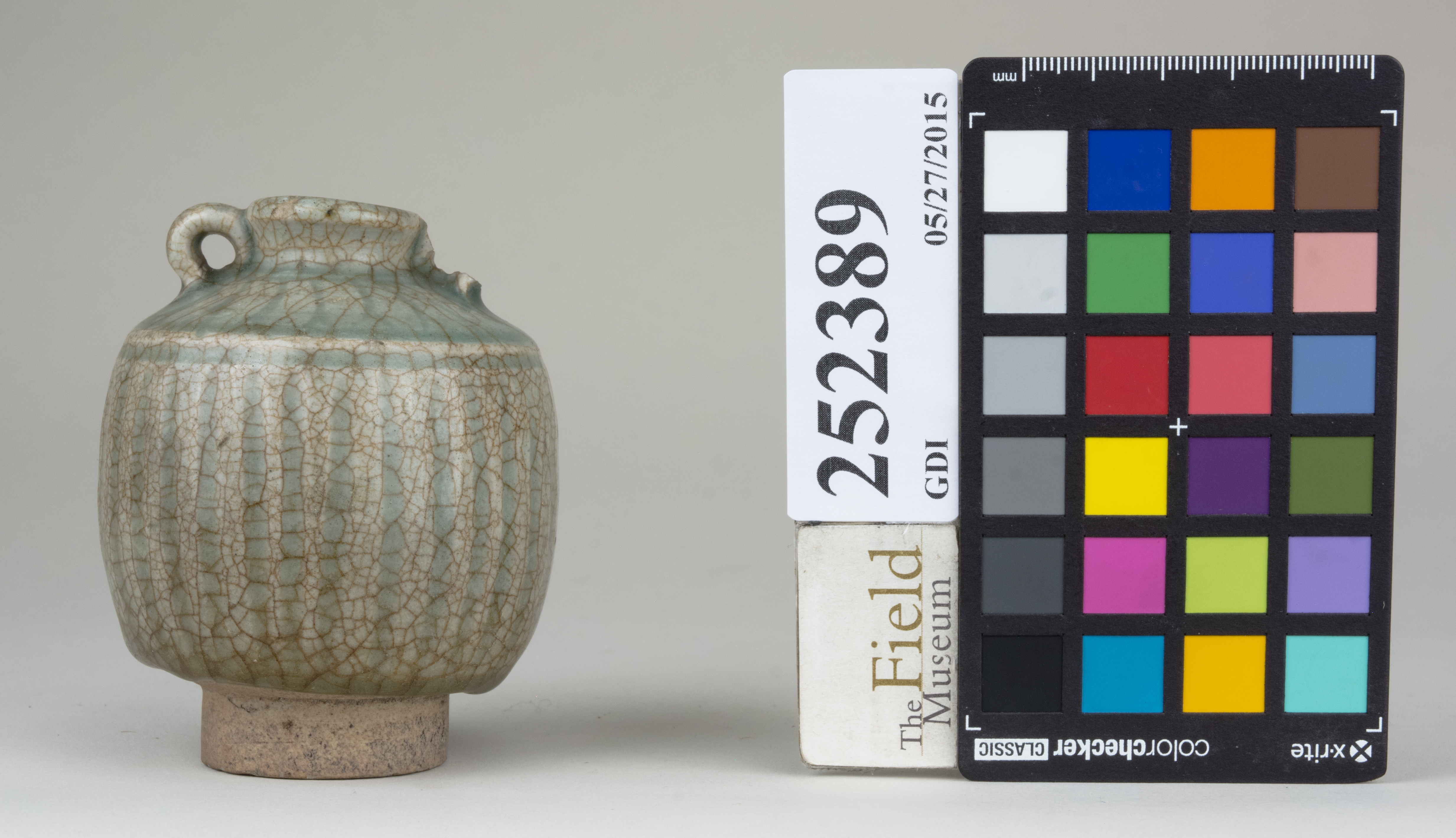 reference image, back 