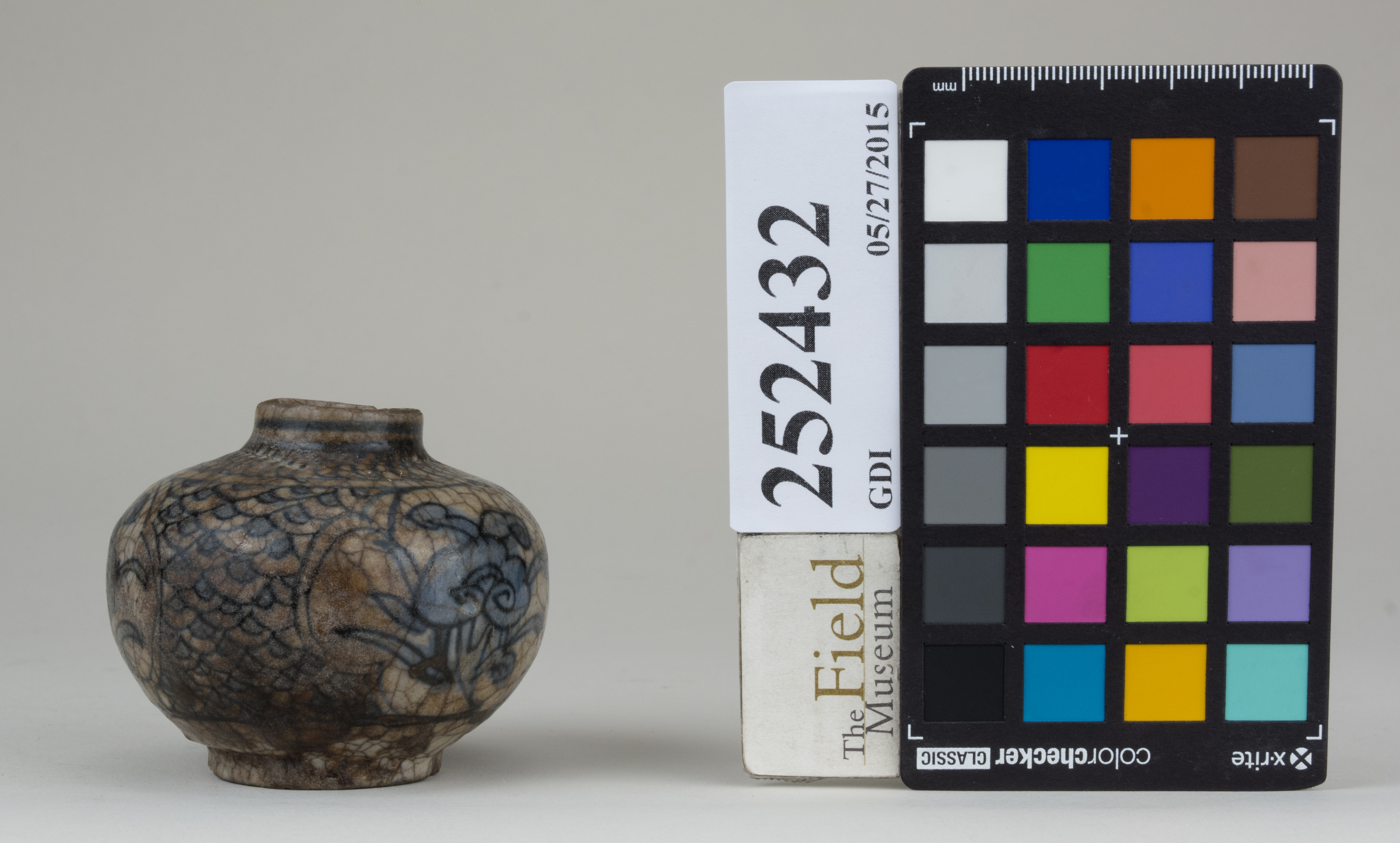 reference image, back 