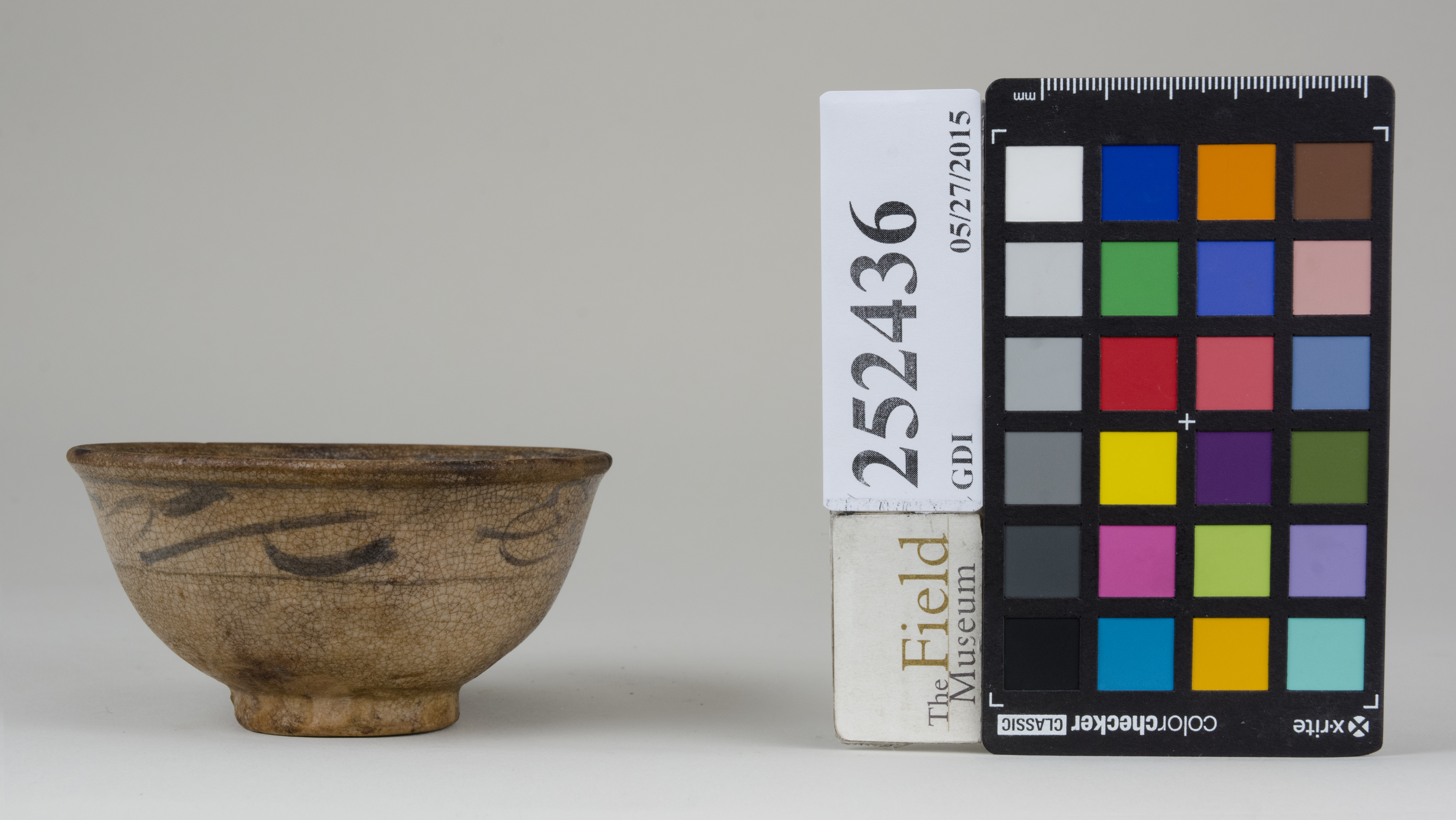 reference image, back 