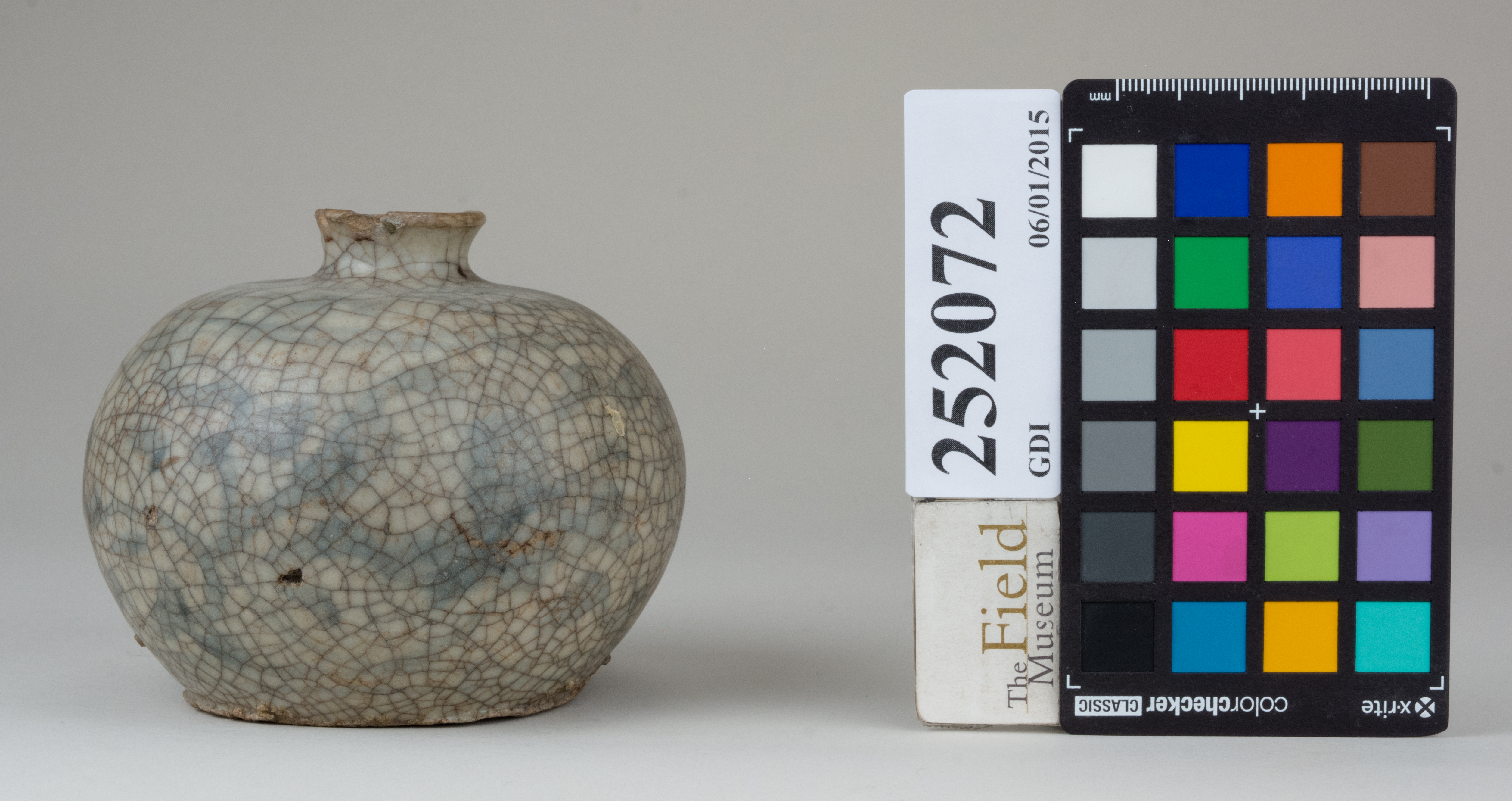 reference image, back 