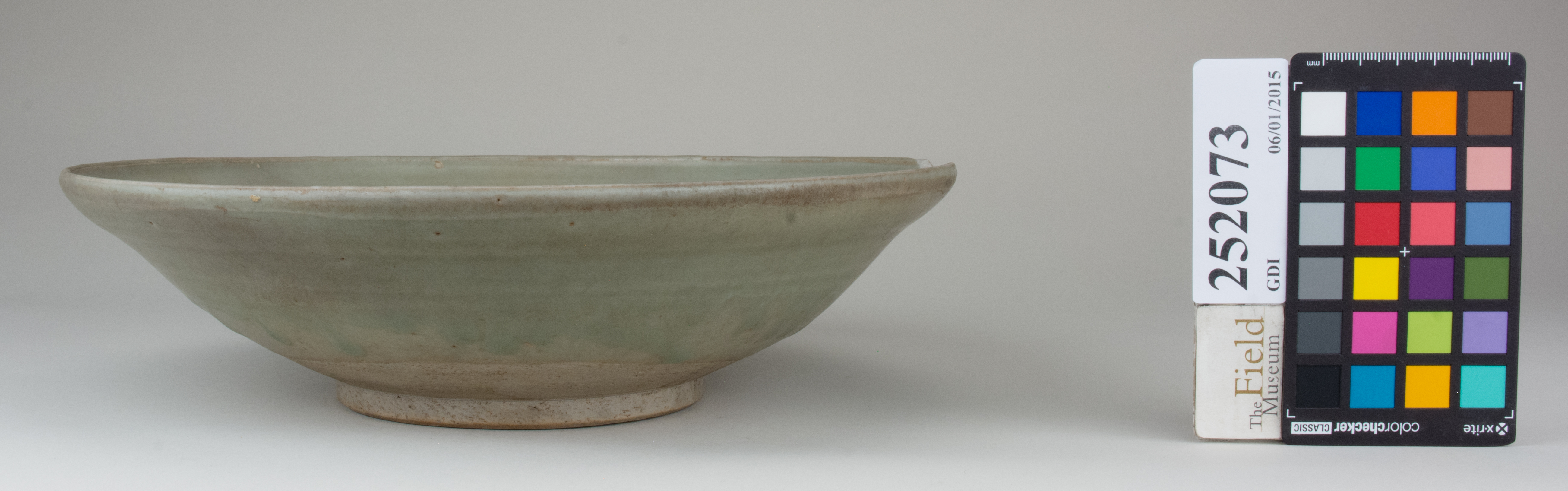 reference image, back 