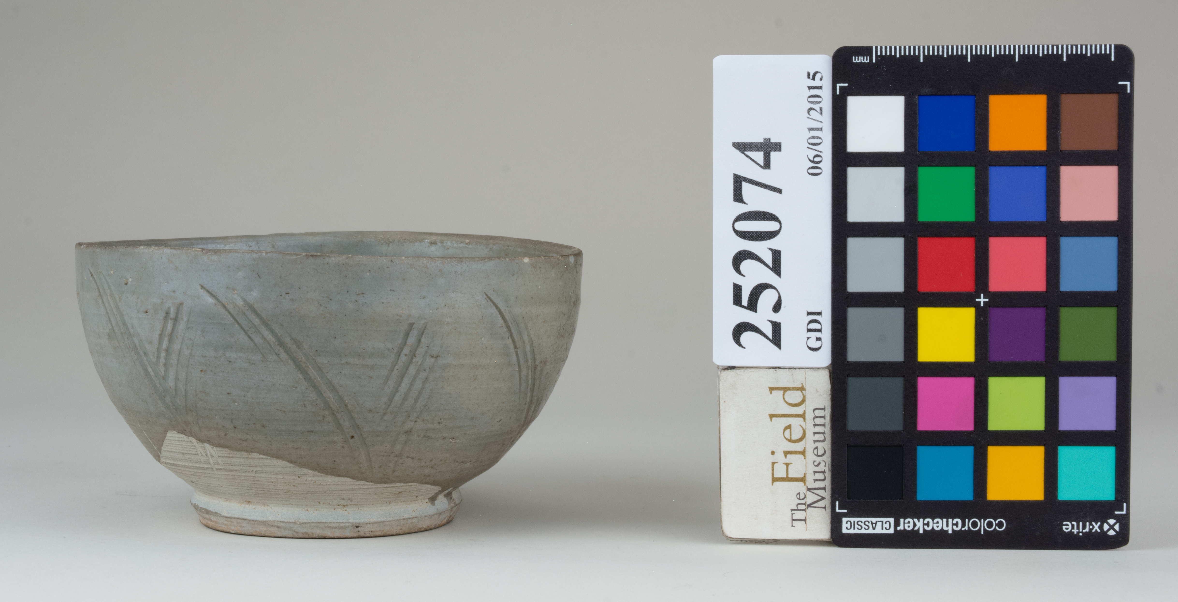 reference image, back 