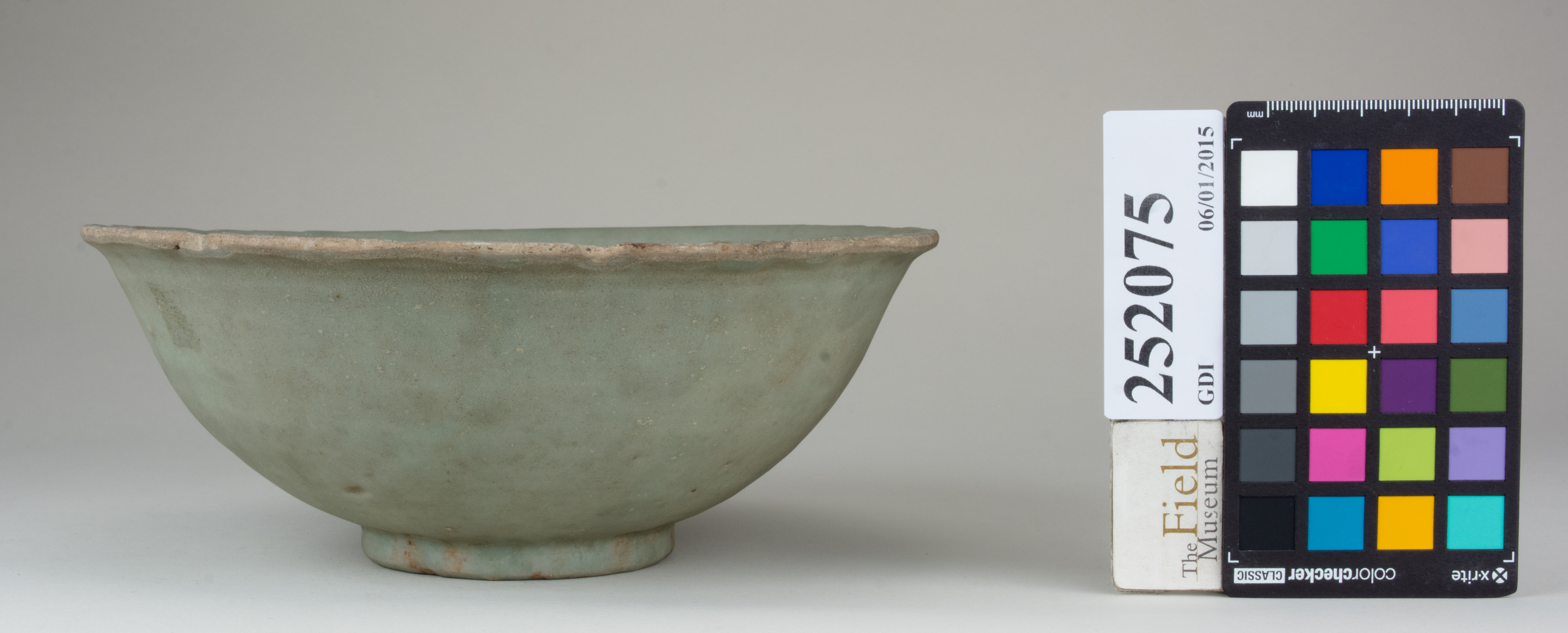 reference image, back 