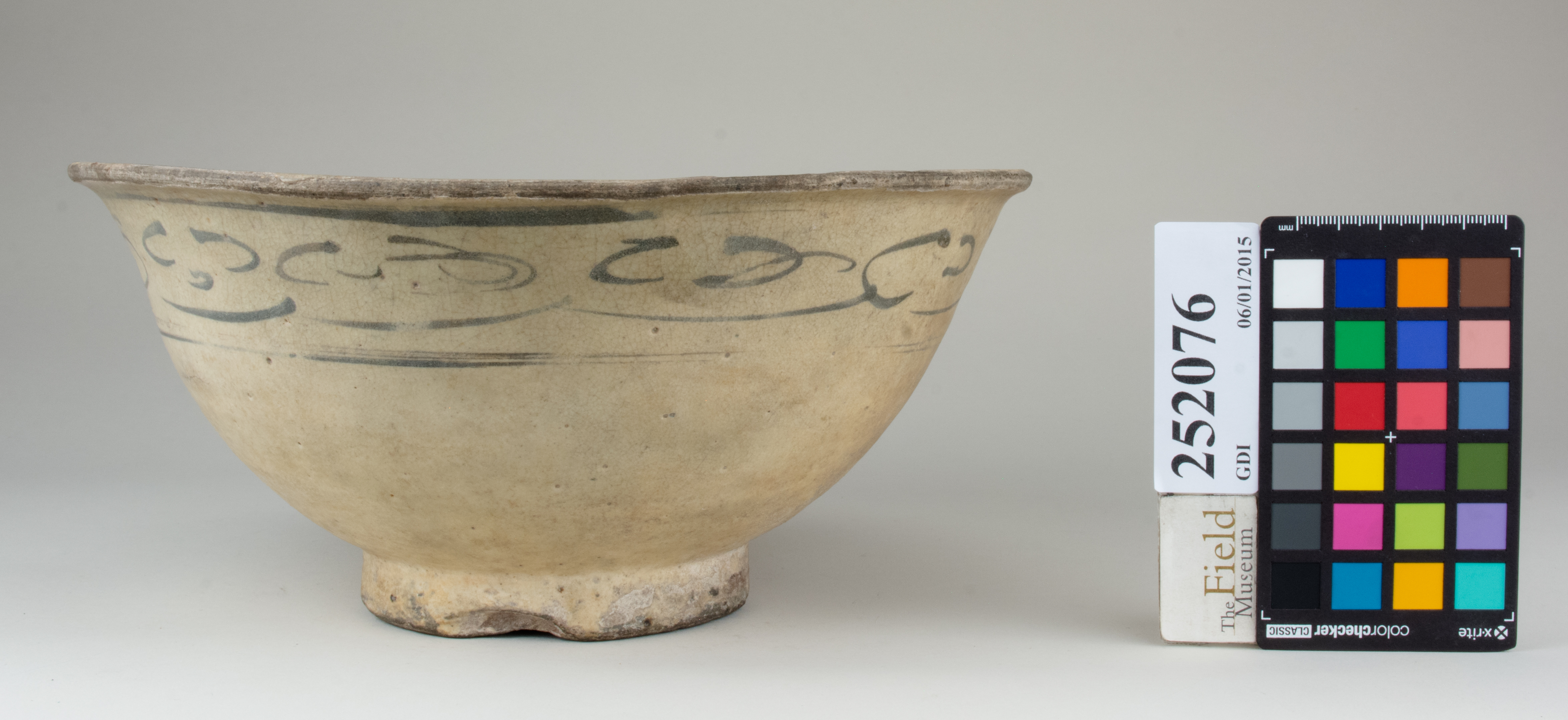 reference image, back 