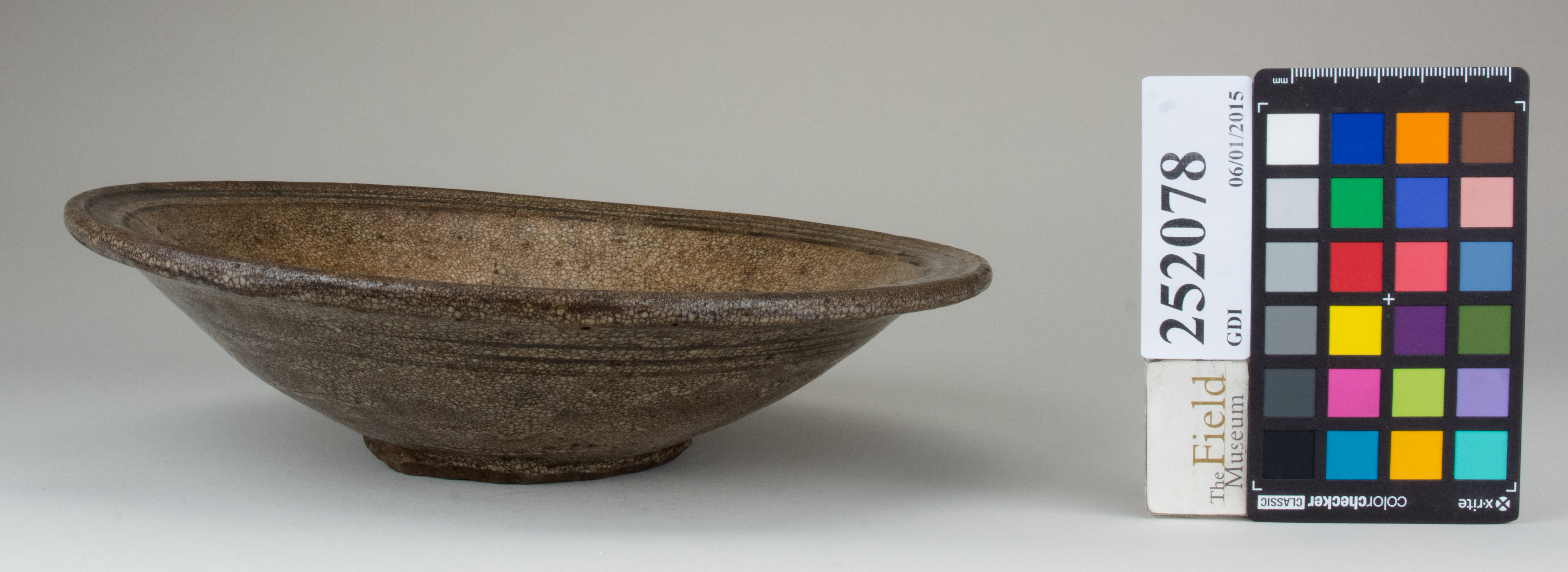 reference image, back 