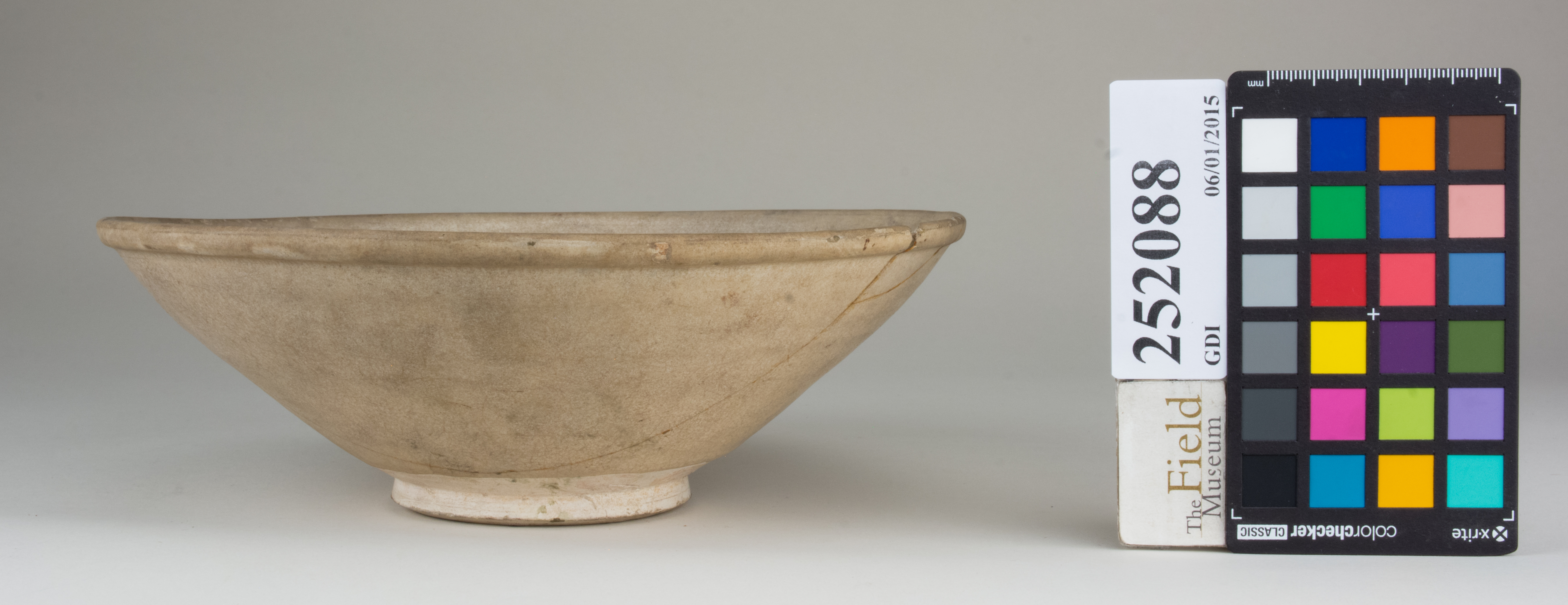 reference image, back 