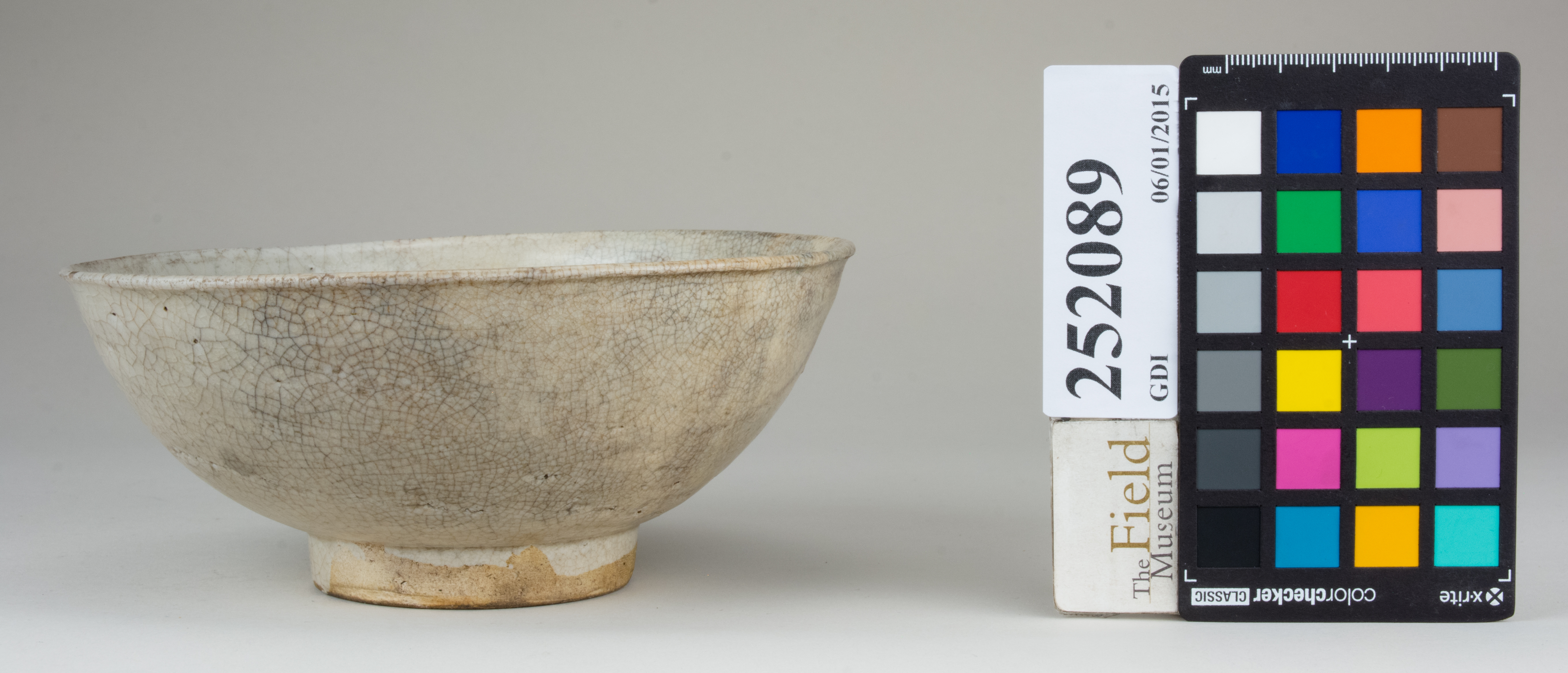 reference image, back 